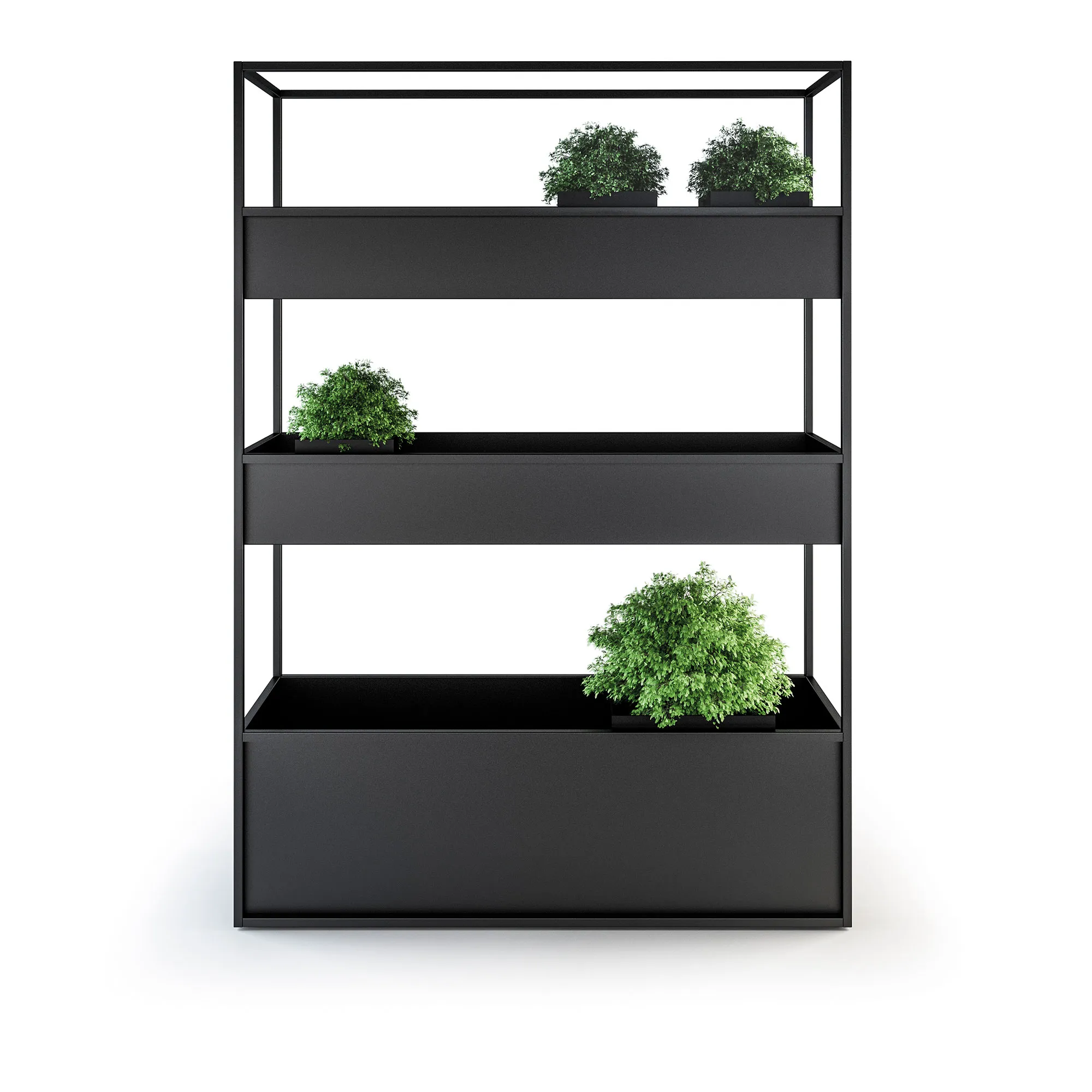 Planter Carl - 1