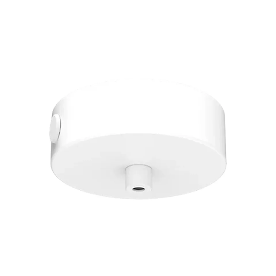 Canopy 1 ceiling rose