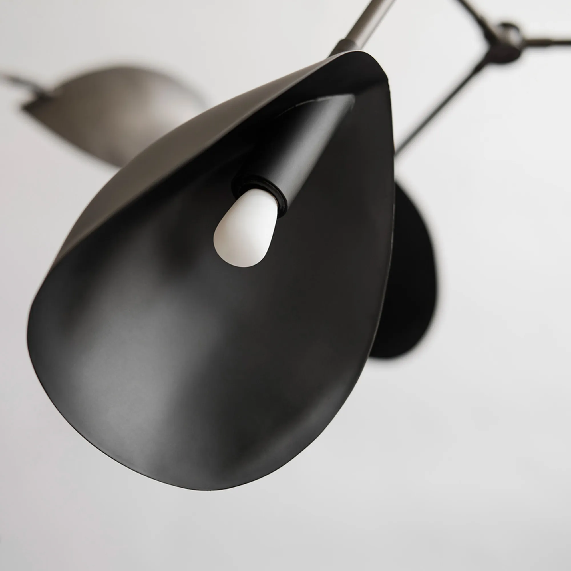 Stingray Chandelier - 3