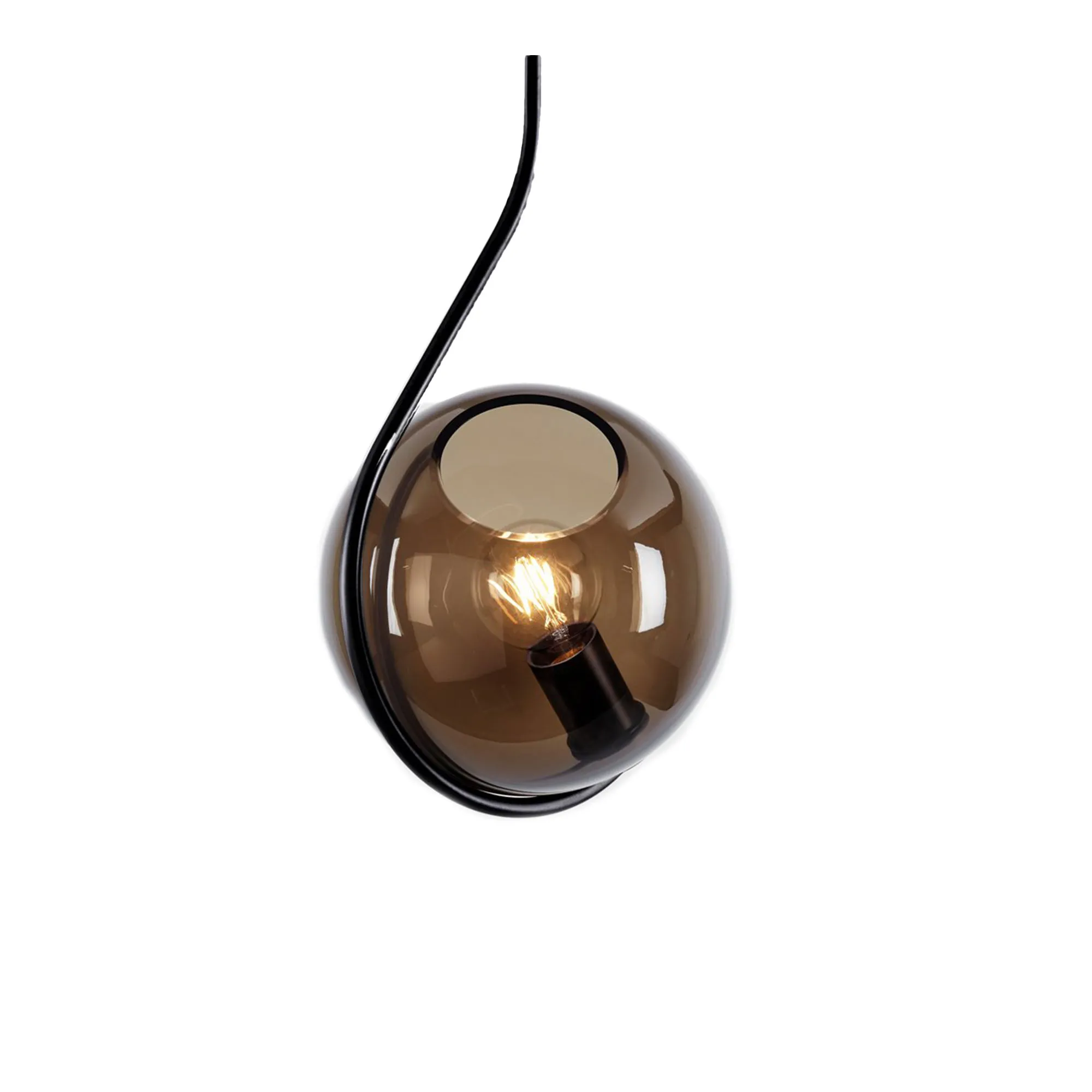 Fiddlehead Pendant - 1