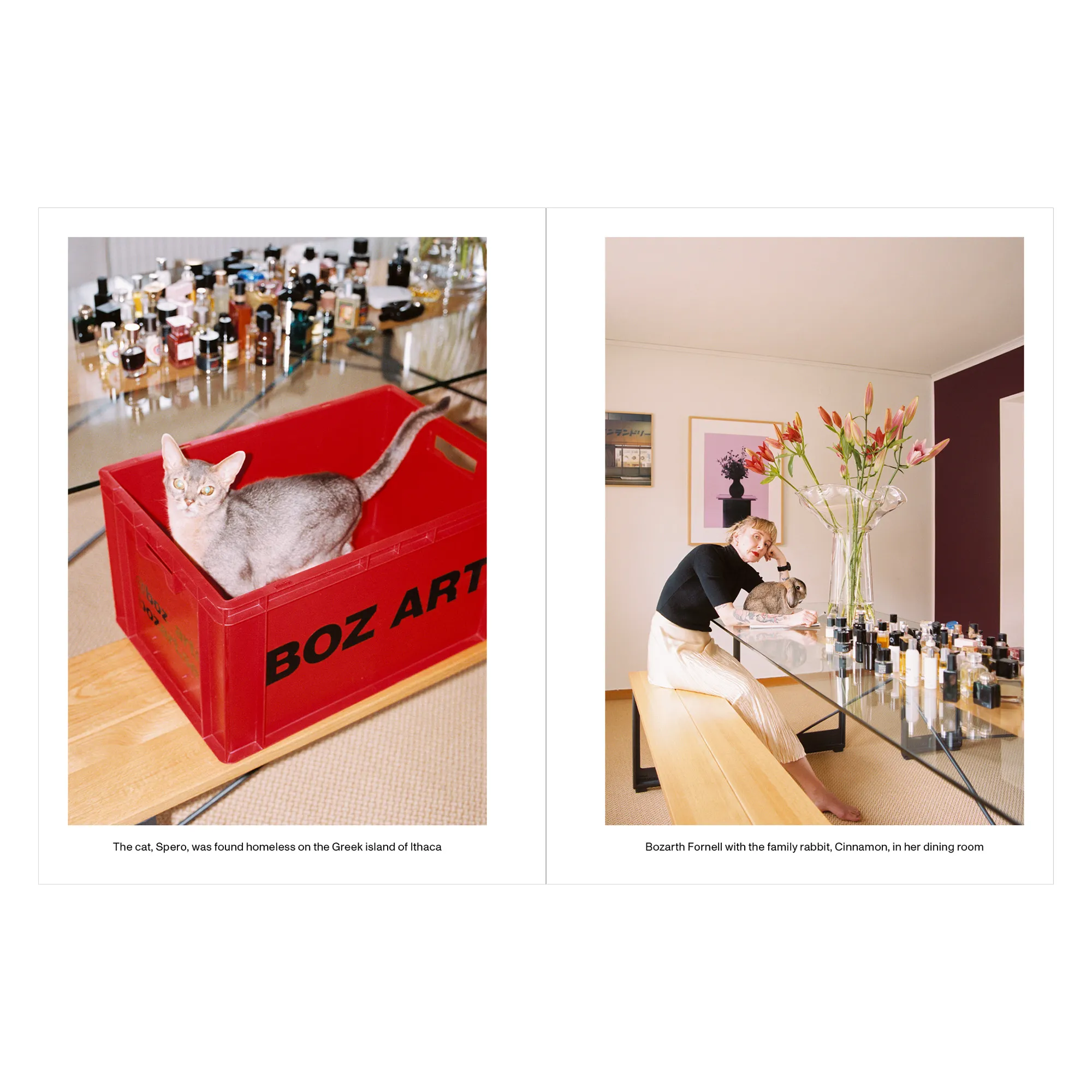 The New Era Agenda Vol 01 - 12
