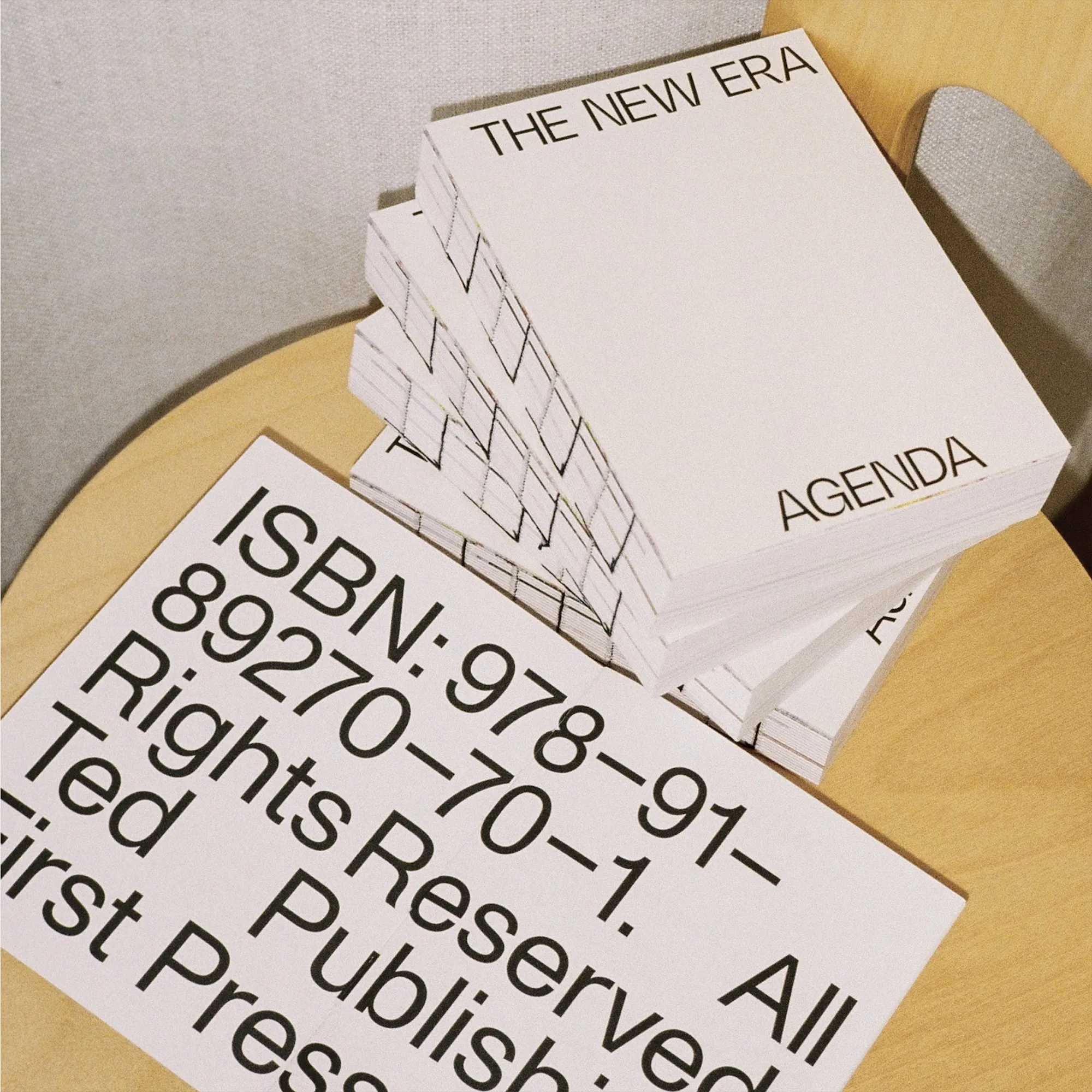 The New Era Agenda Vol 01 - 3
