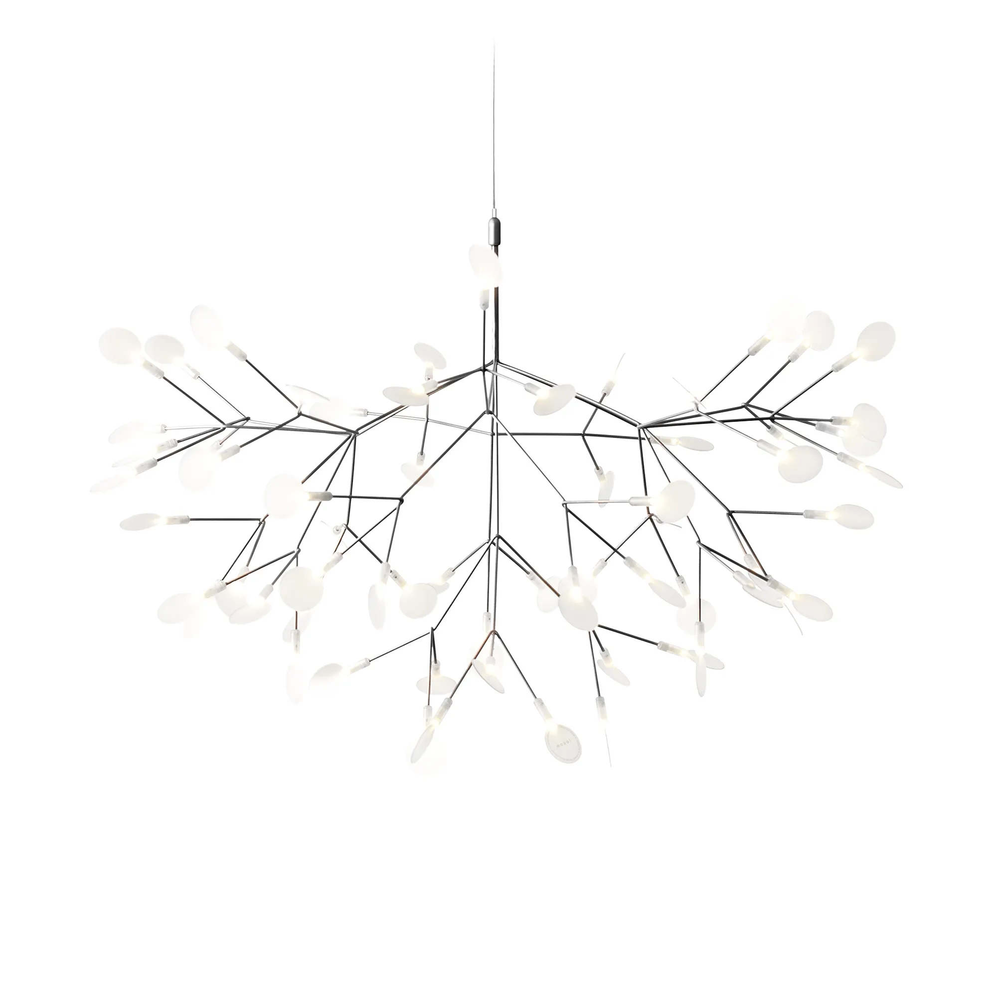 Heracleum III kattokruunu - 1