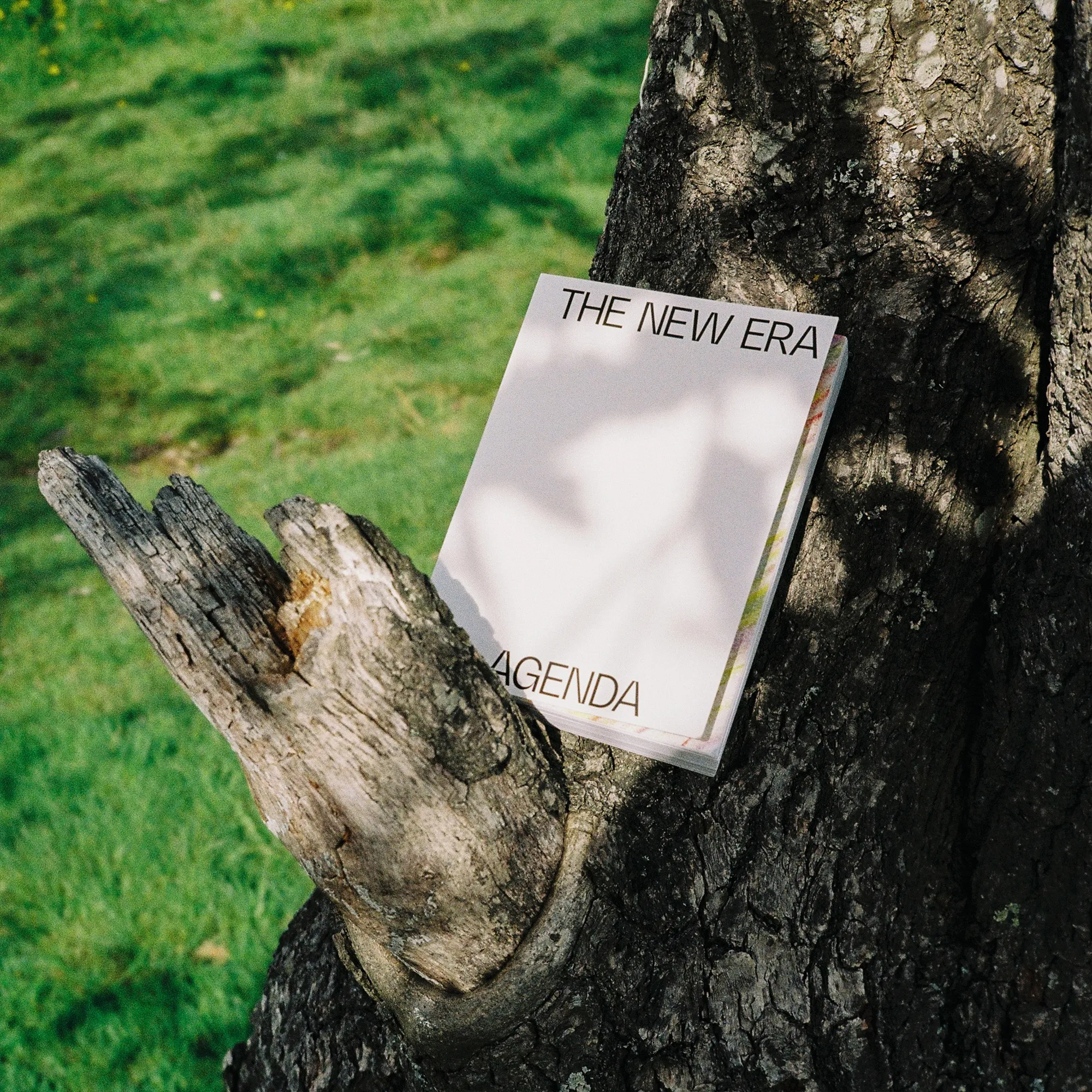 The New Era Agenda Vol 01 - 8