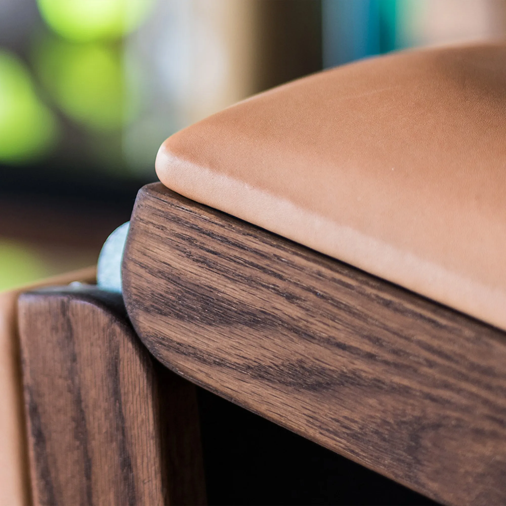 NOHrD TriaTrainer Bench - 3