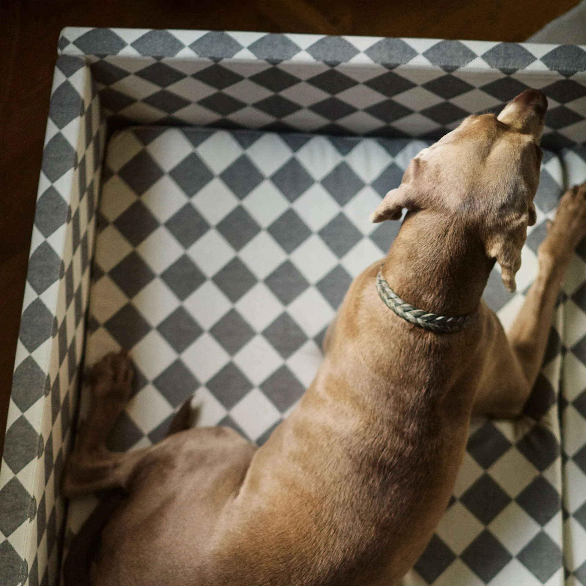 DUX Premium Dog Bed by Nordiska Galleriet - DUX - NO GA