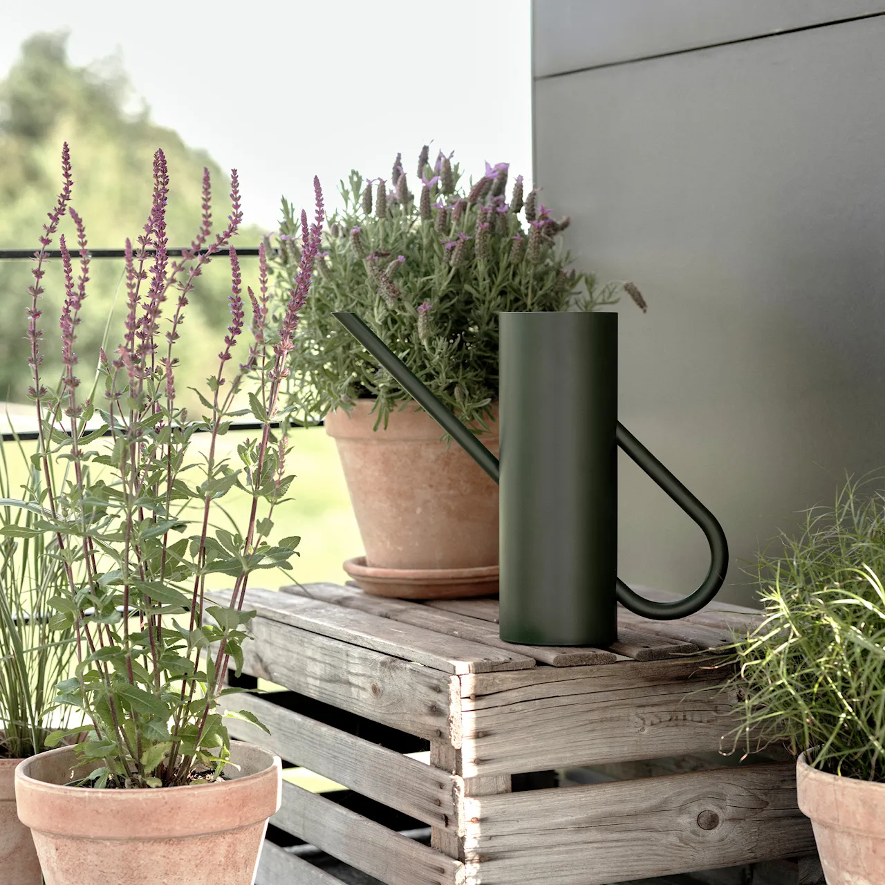 Bloom Watering can 2 L