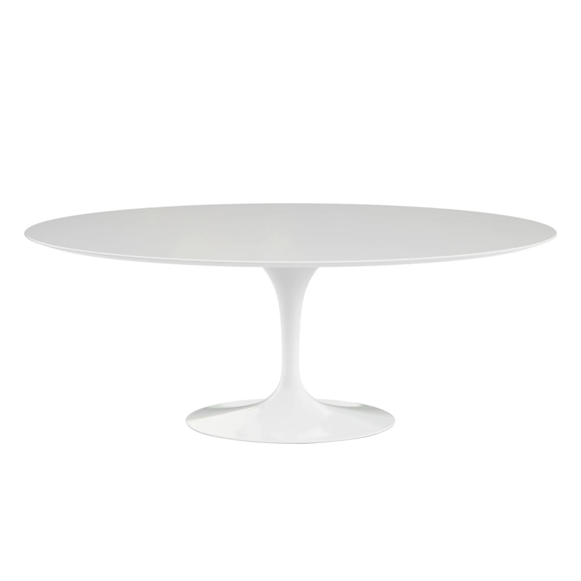 Saarinen Oval Outdoor Table - 1