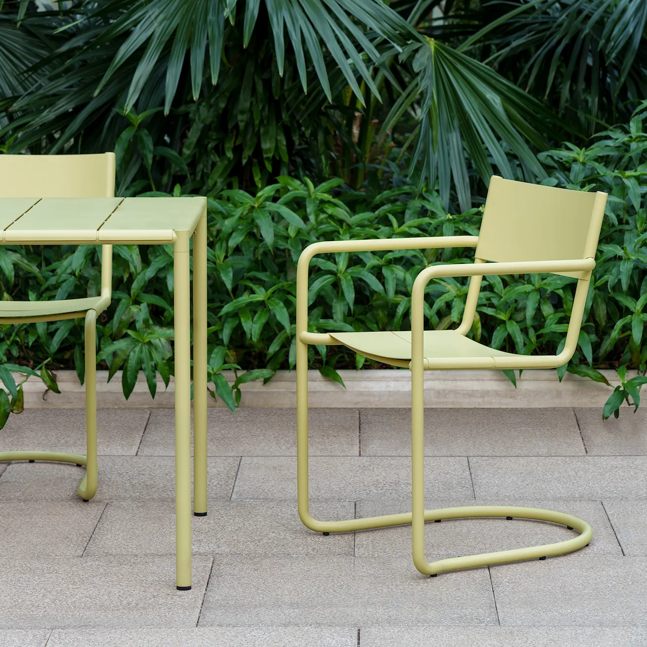 Sine - Dining Arm Chair Yellow