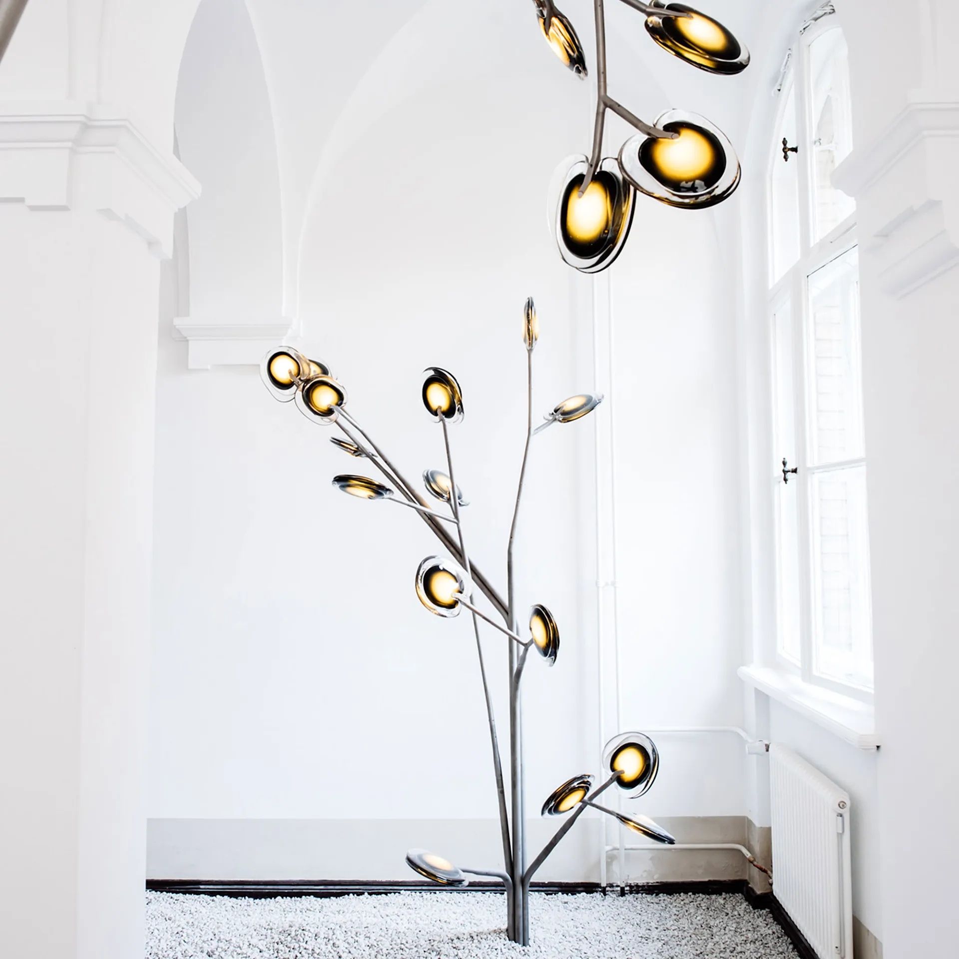 16.10 Olive - Bocci - Omer Arbel - NO GA