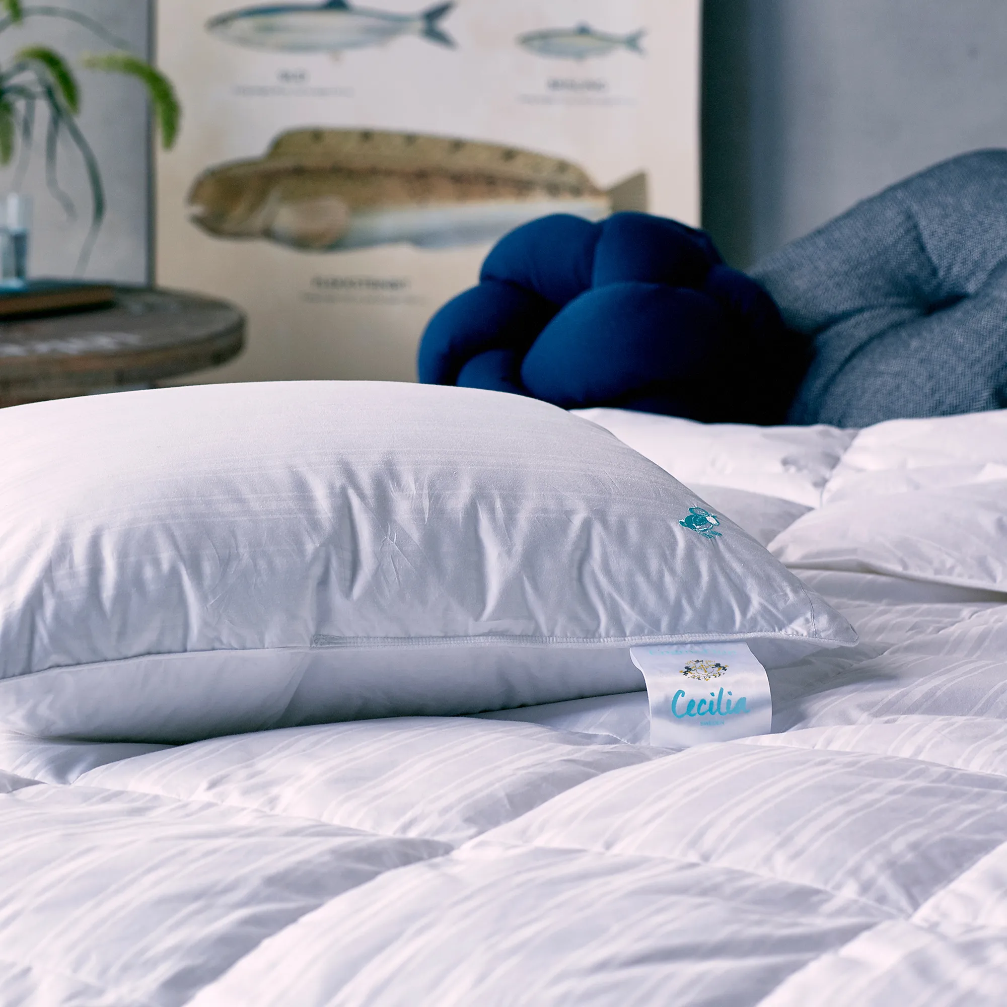 Cecilia Down Pillow - 3