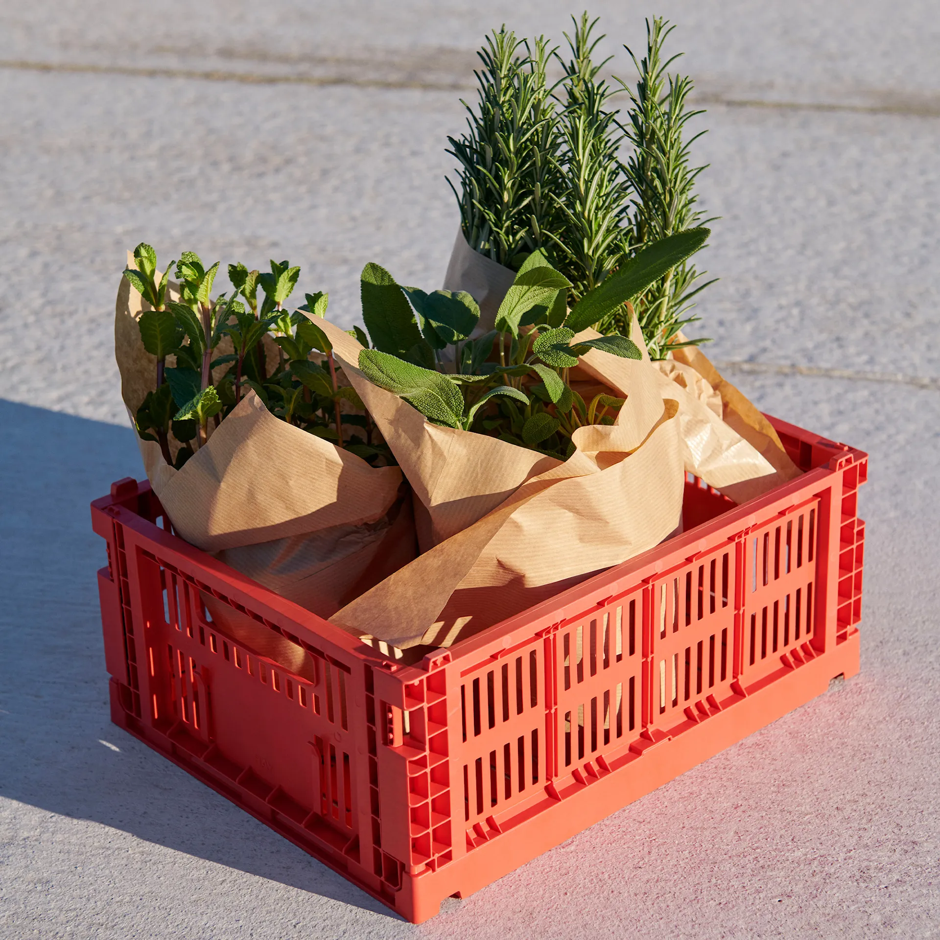 HAY Color Crates säilytyslaatikko Small - HAY - NO GA