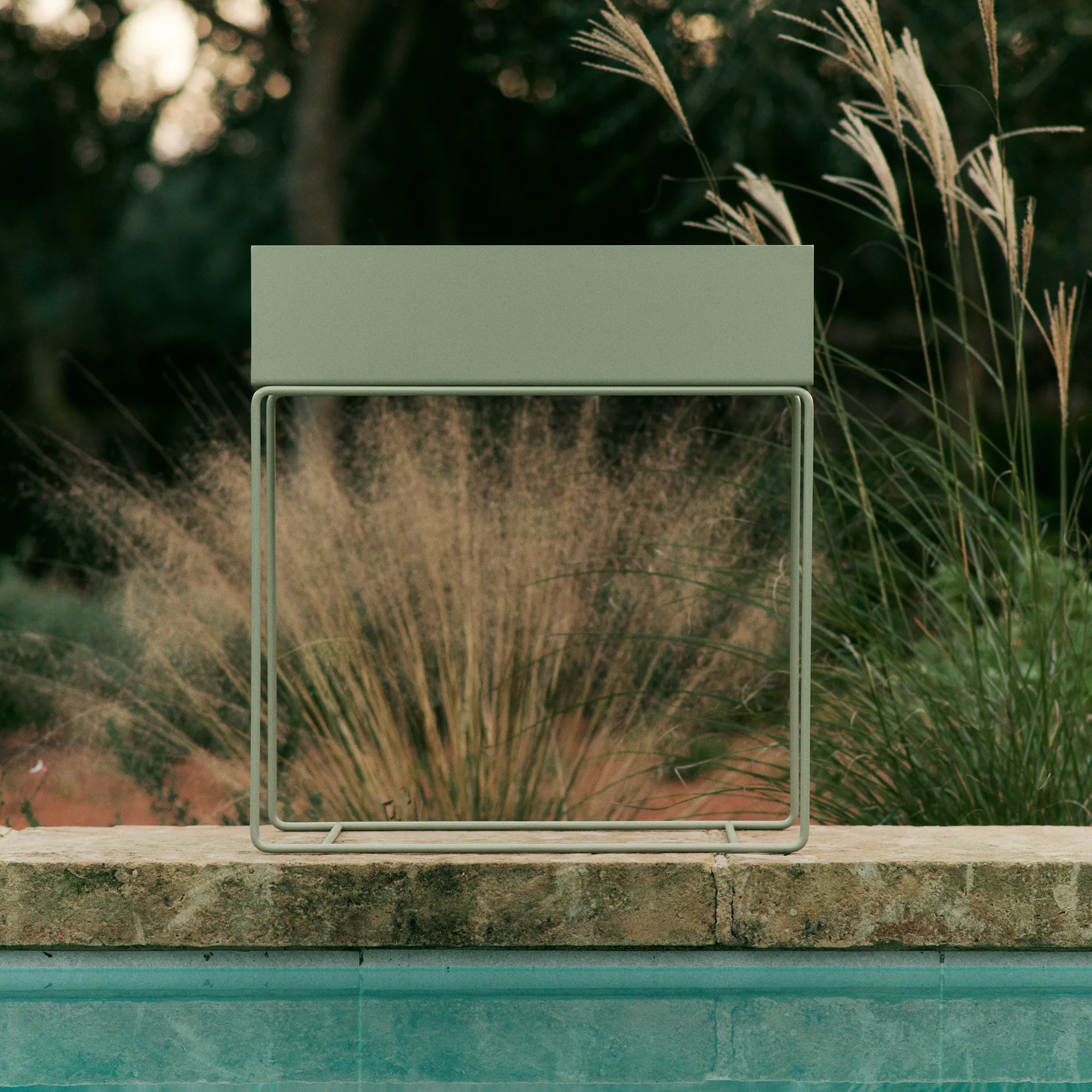 Plant Box - 5