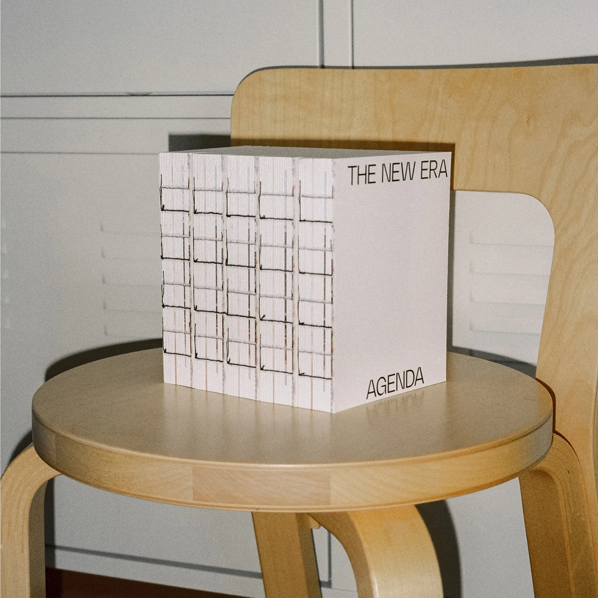 The New Era Agenda Vol 01 - 6