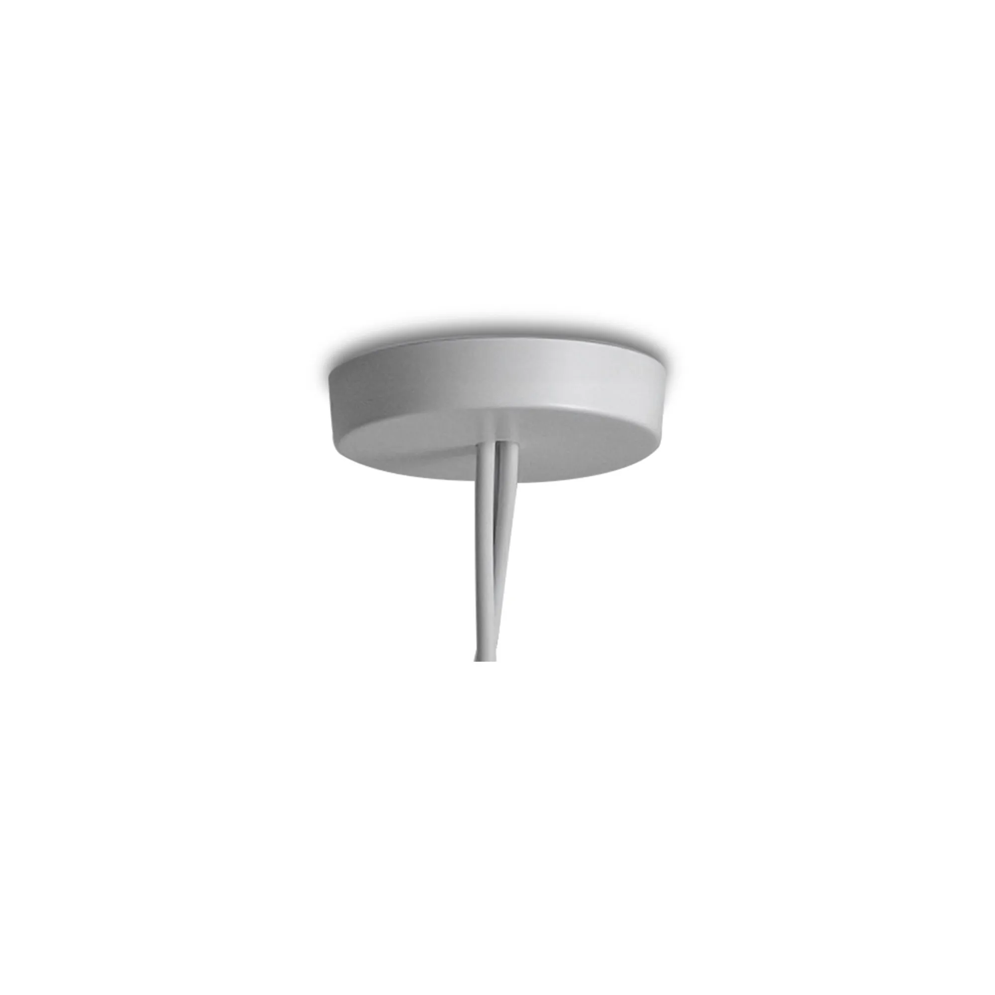 Aim Ceiling Rose - 1