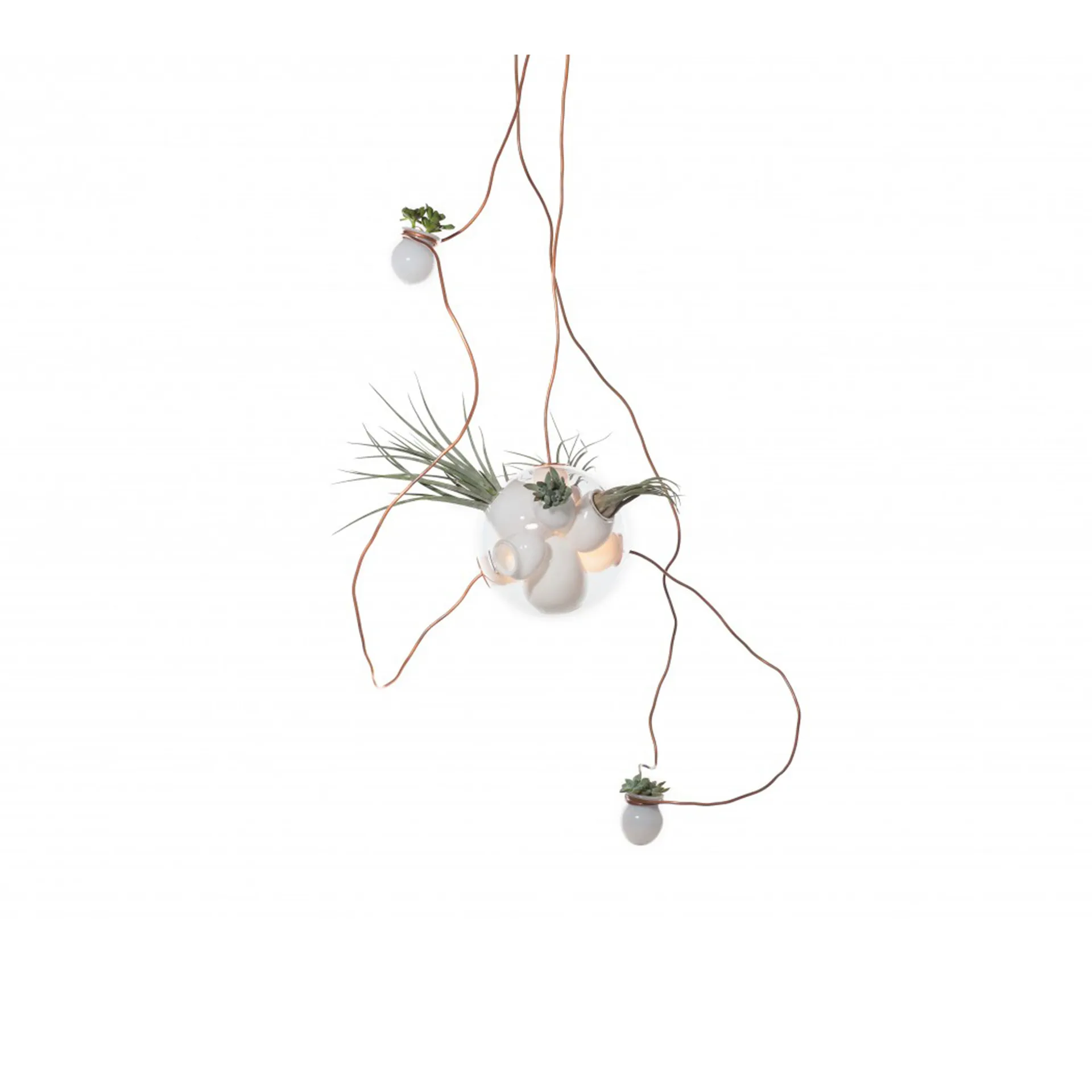 38.3 - Bocci - Omer Arbel - NO GA