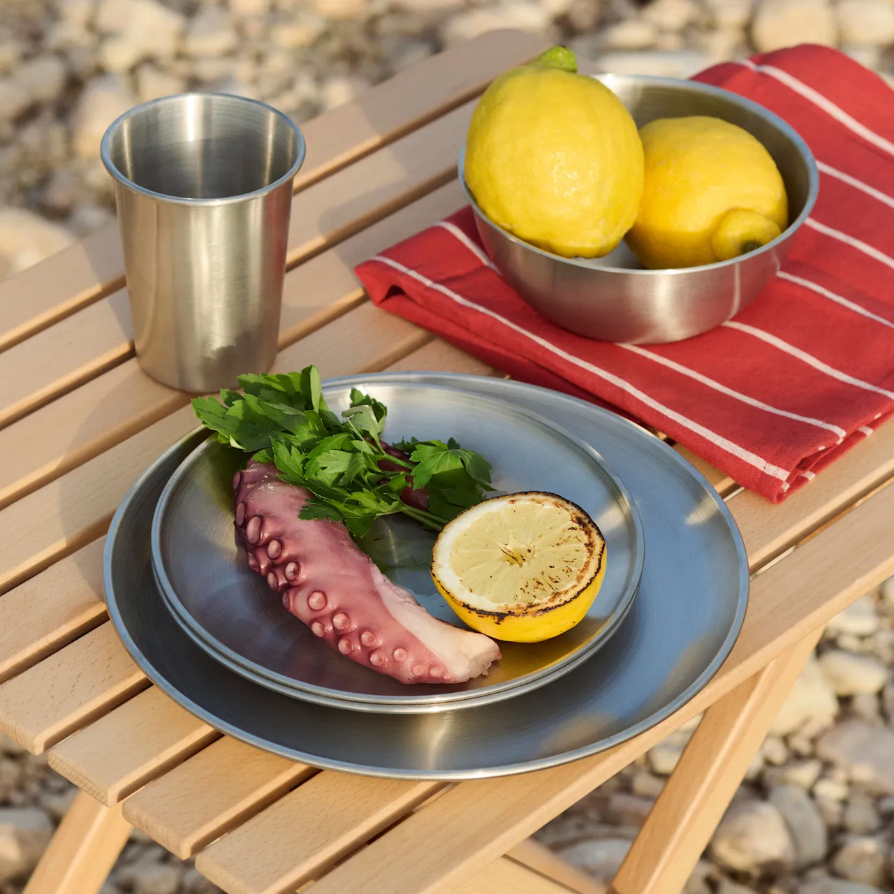 Outdoor Market Steel Plate Set of 2