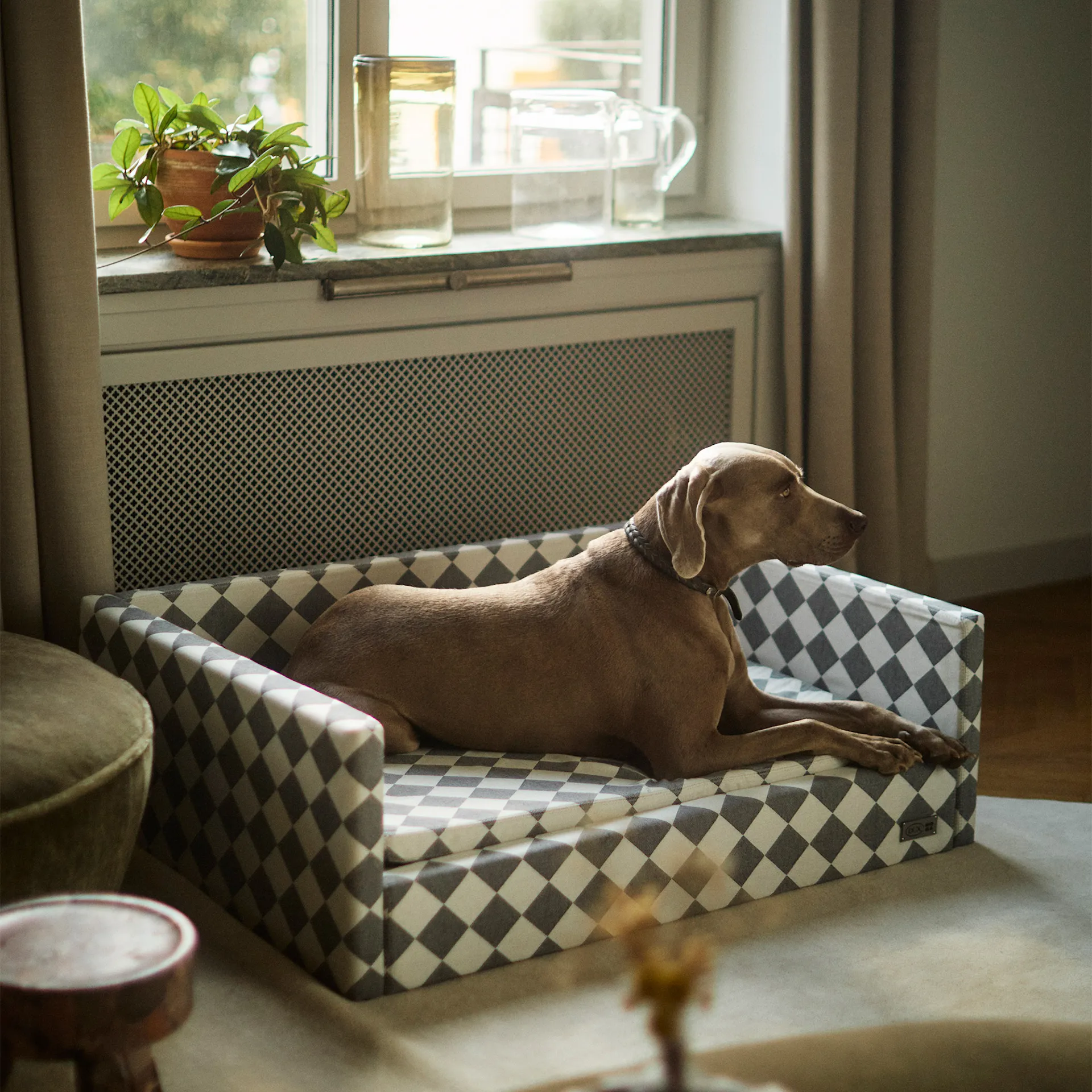 DUX Premium Dog Bed by NO GA - DUX - NO GA