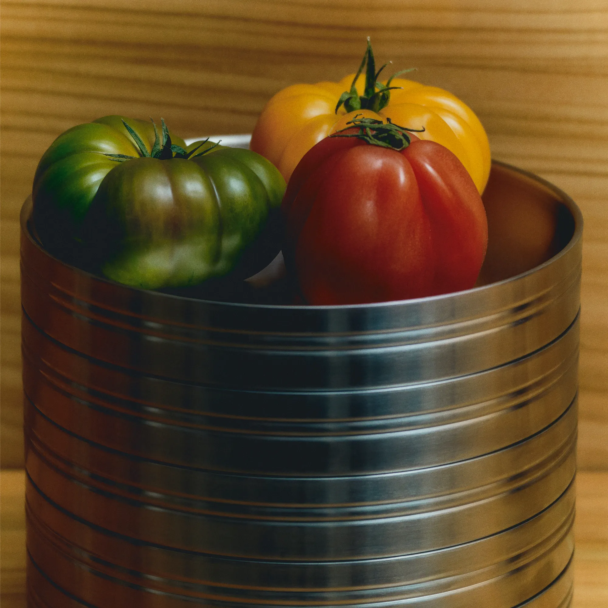 Stainless Steel pastaborden - Set van 2 - 3