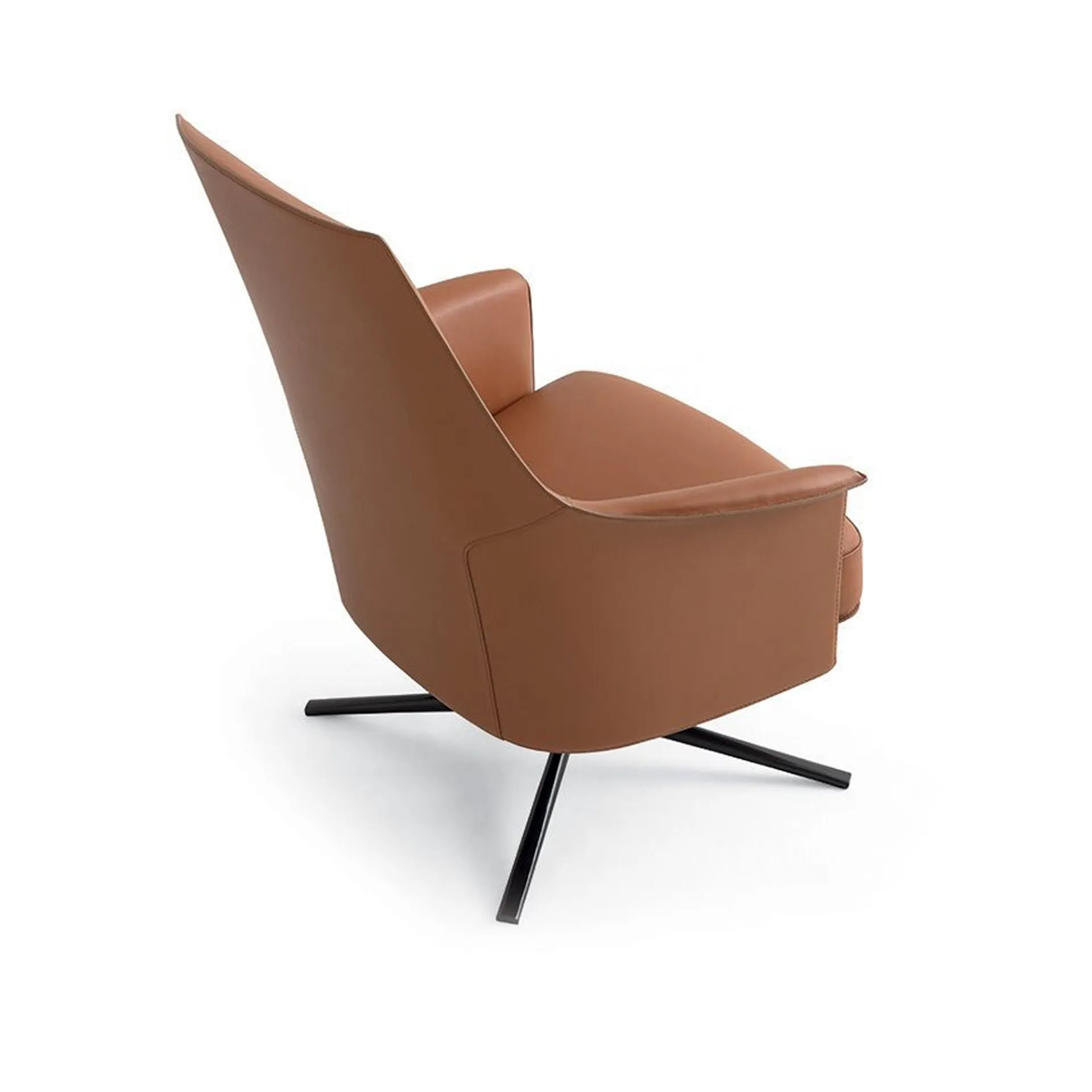 Stanford Lounge Armchair - Poliform - NO GA