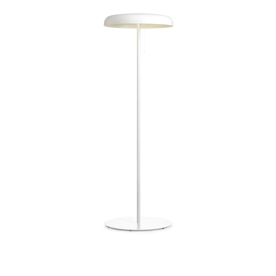 Mushroom Floor Lamp