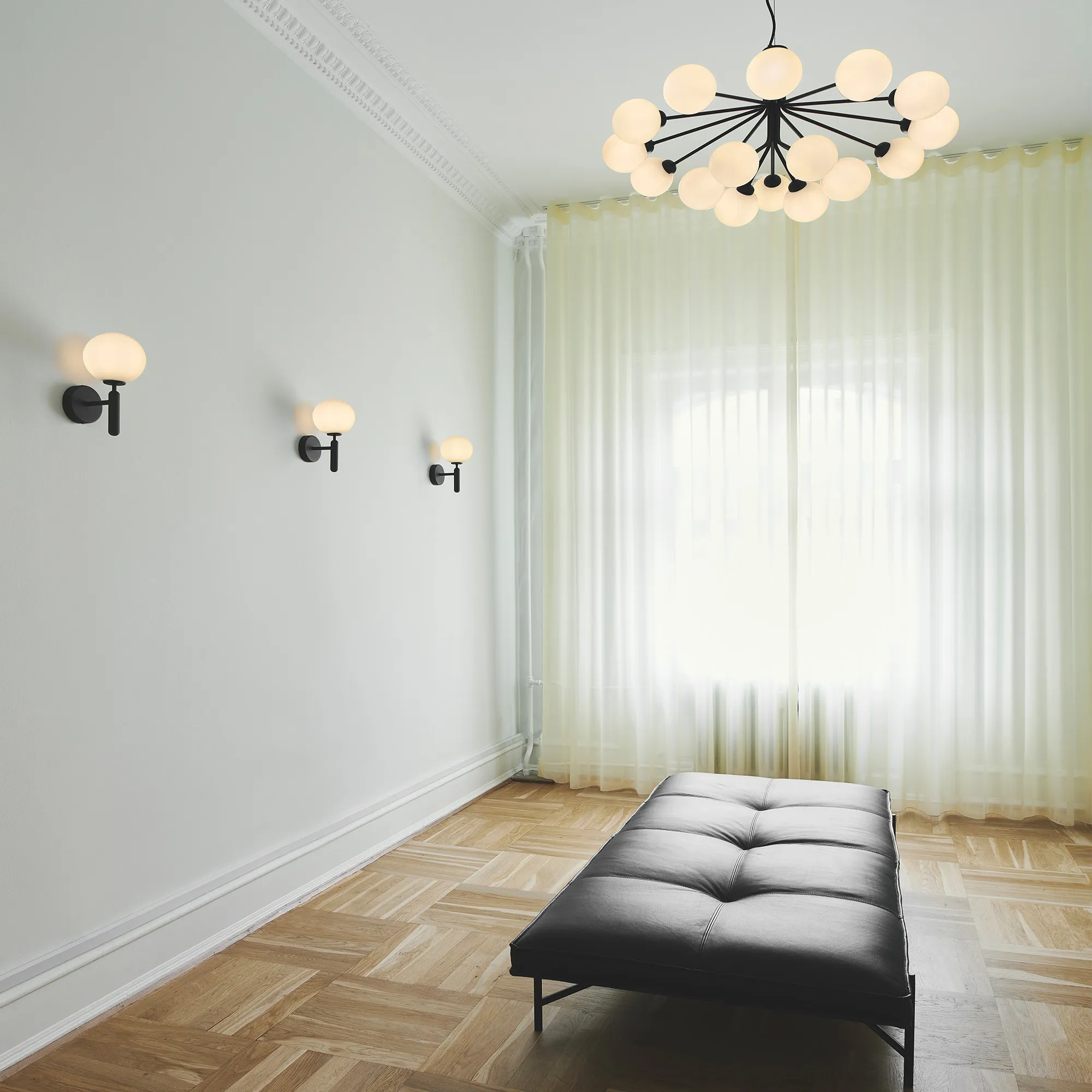 Apiales 18 Pendant - 4