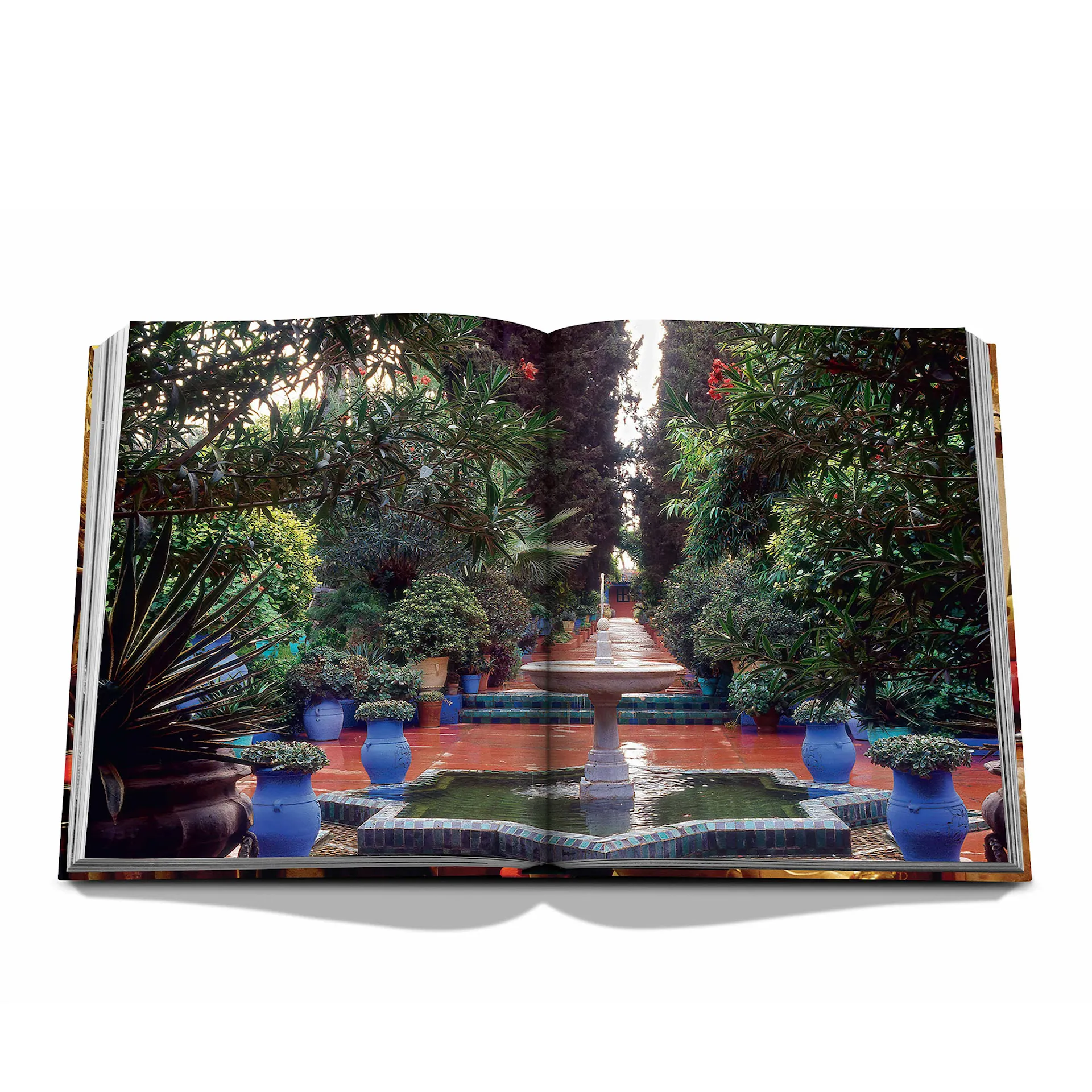 Yves Saint Laurent At Home - Assouline - NO GA