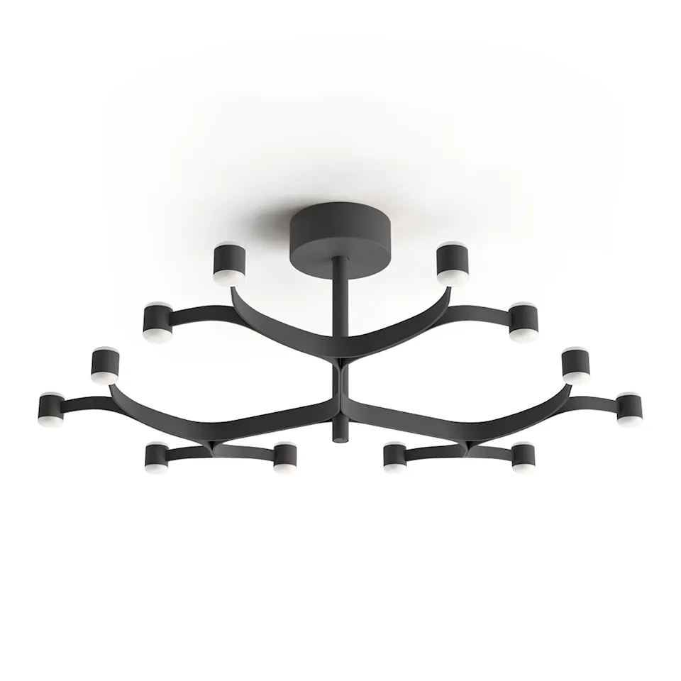 Fronda 12 Phase-Cut plafond