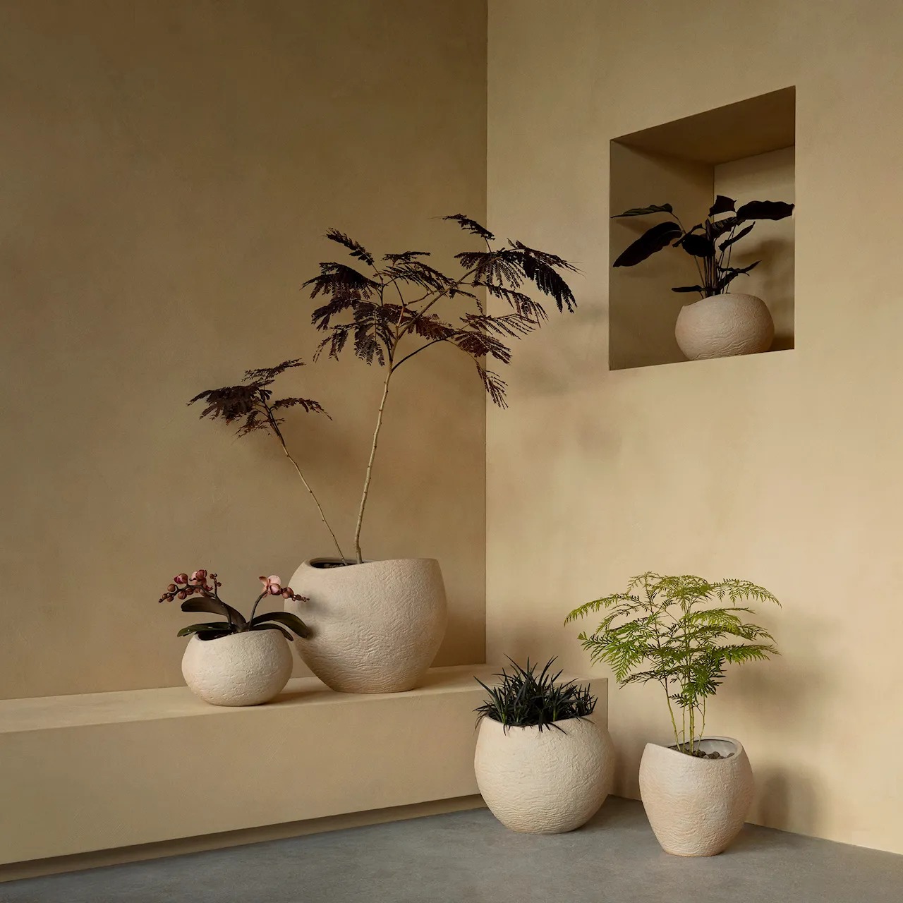 Plantas Planter