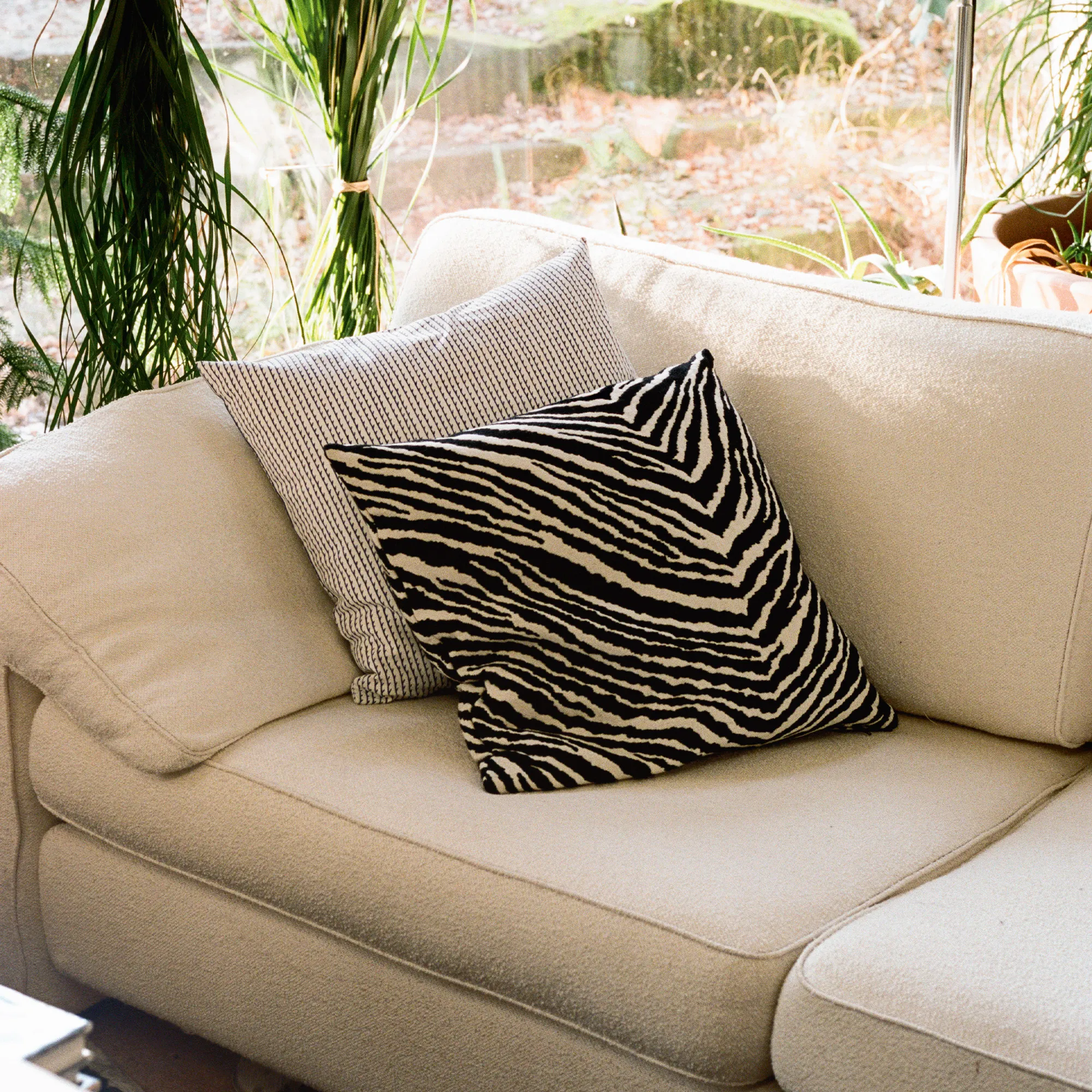 Zebra Cushion Cover