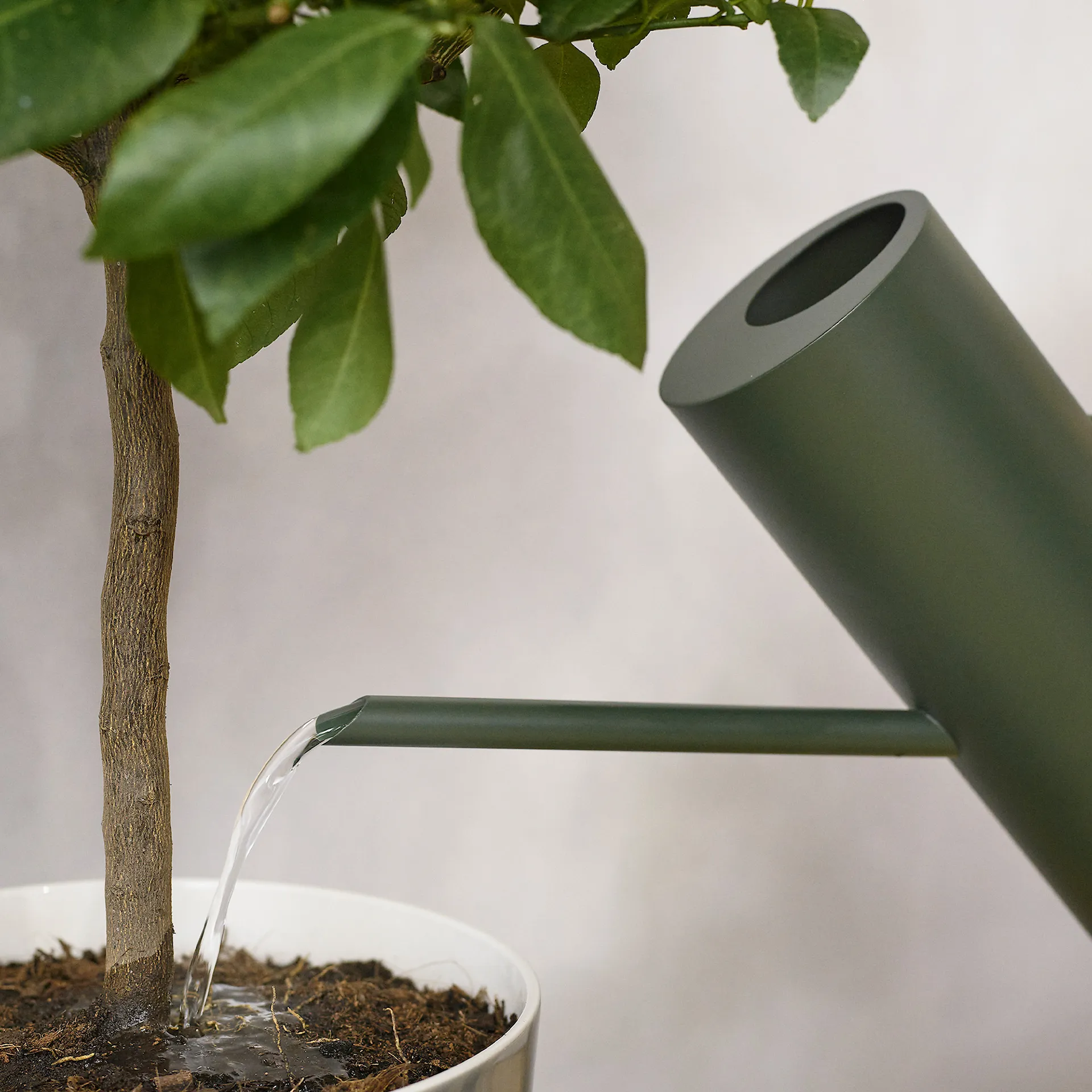 Bloom Kastelukannu 2 L - Stelton - NO GA