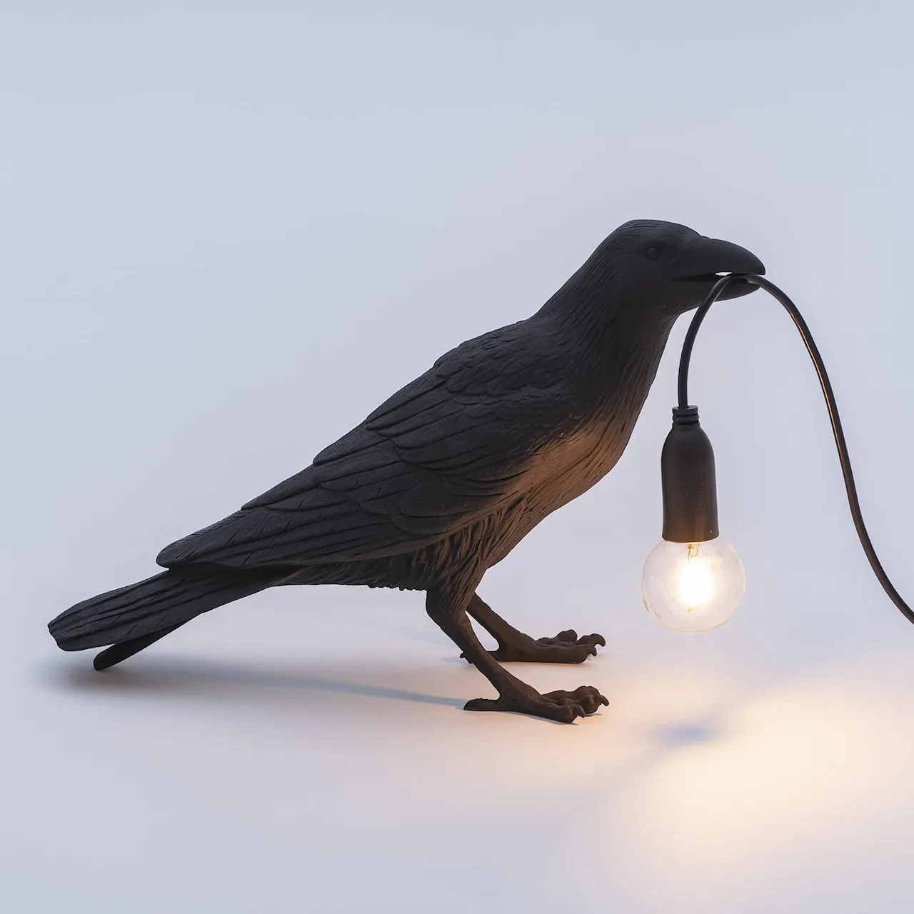 Bird Lamp Waiting