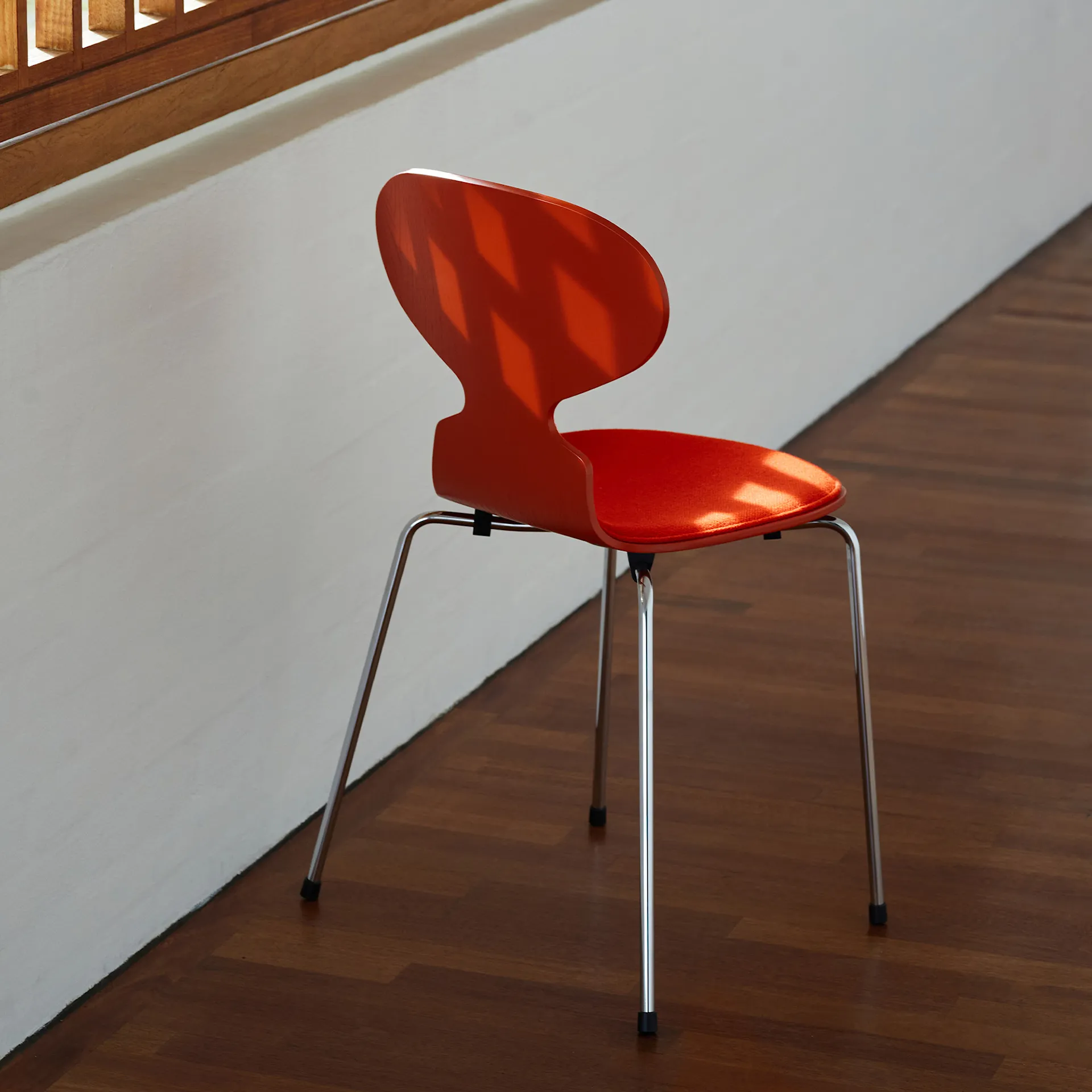 Ant 3101 colored ash veneer steel frame white - Fritz Hansen - Arne Jacobsen - NO GA