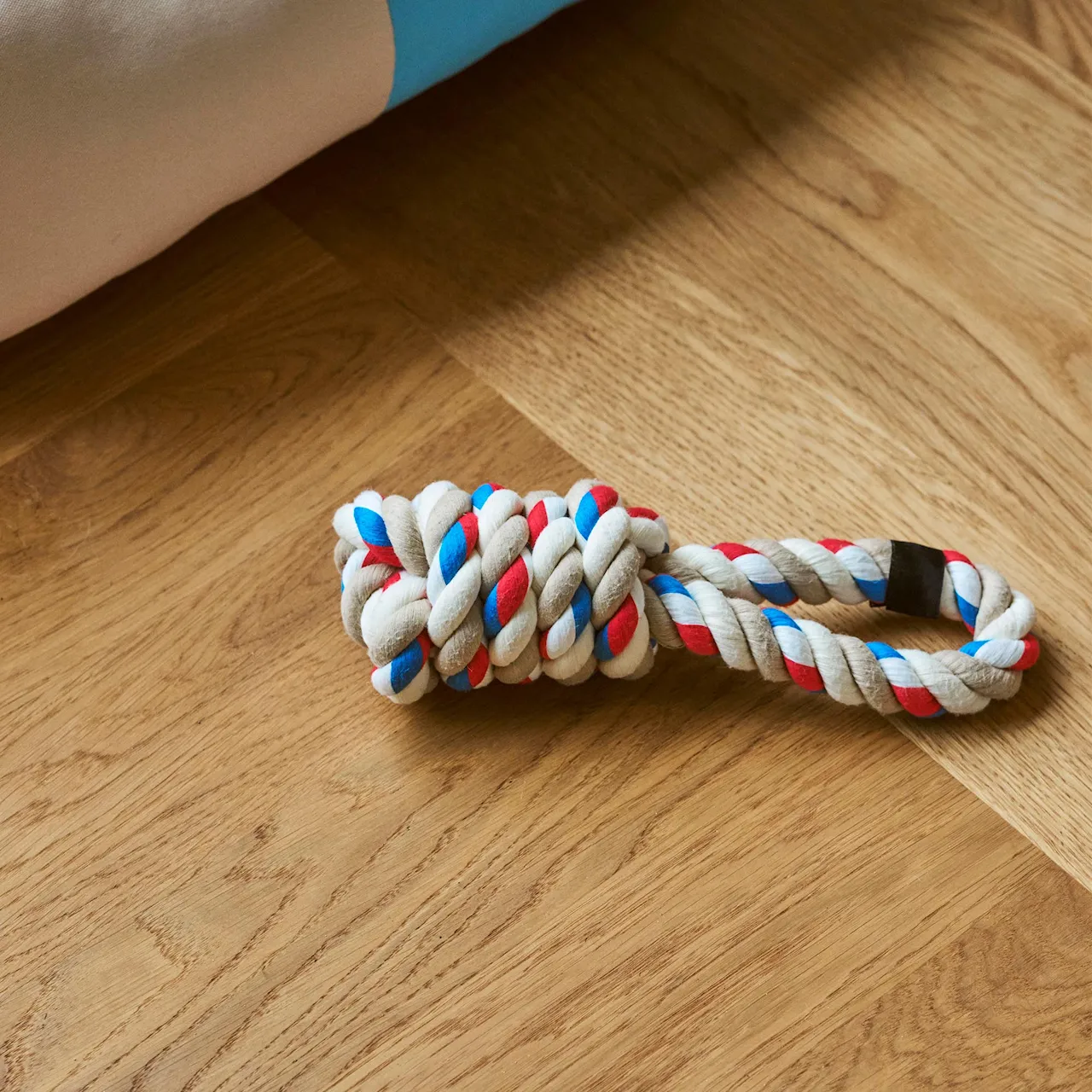 HAY Dogs Rope Toy