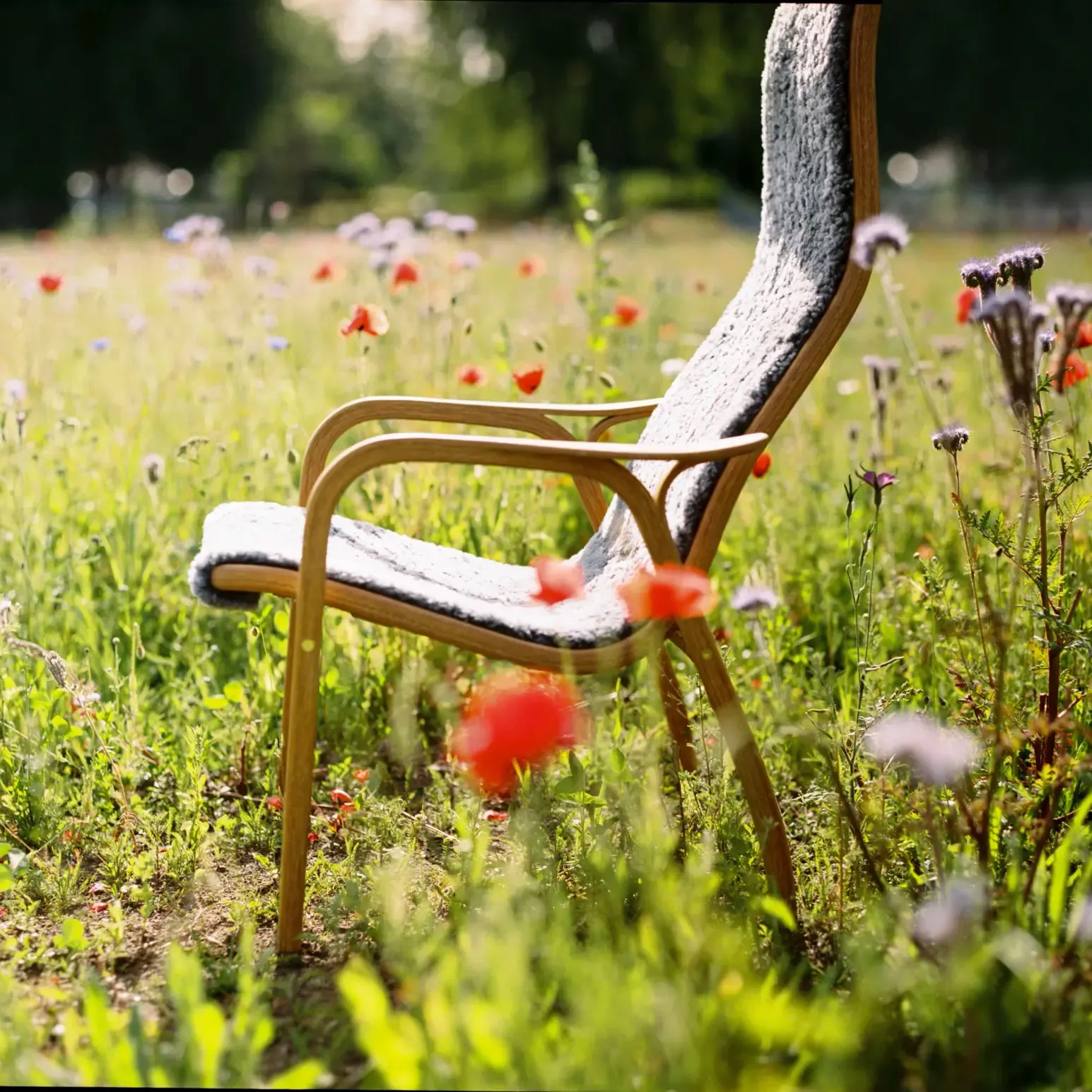 Lamino armchair - 15