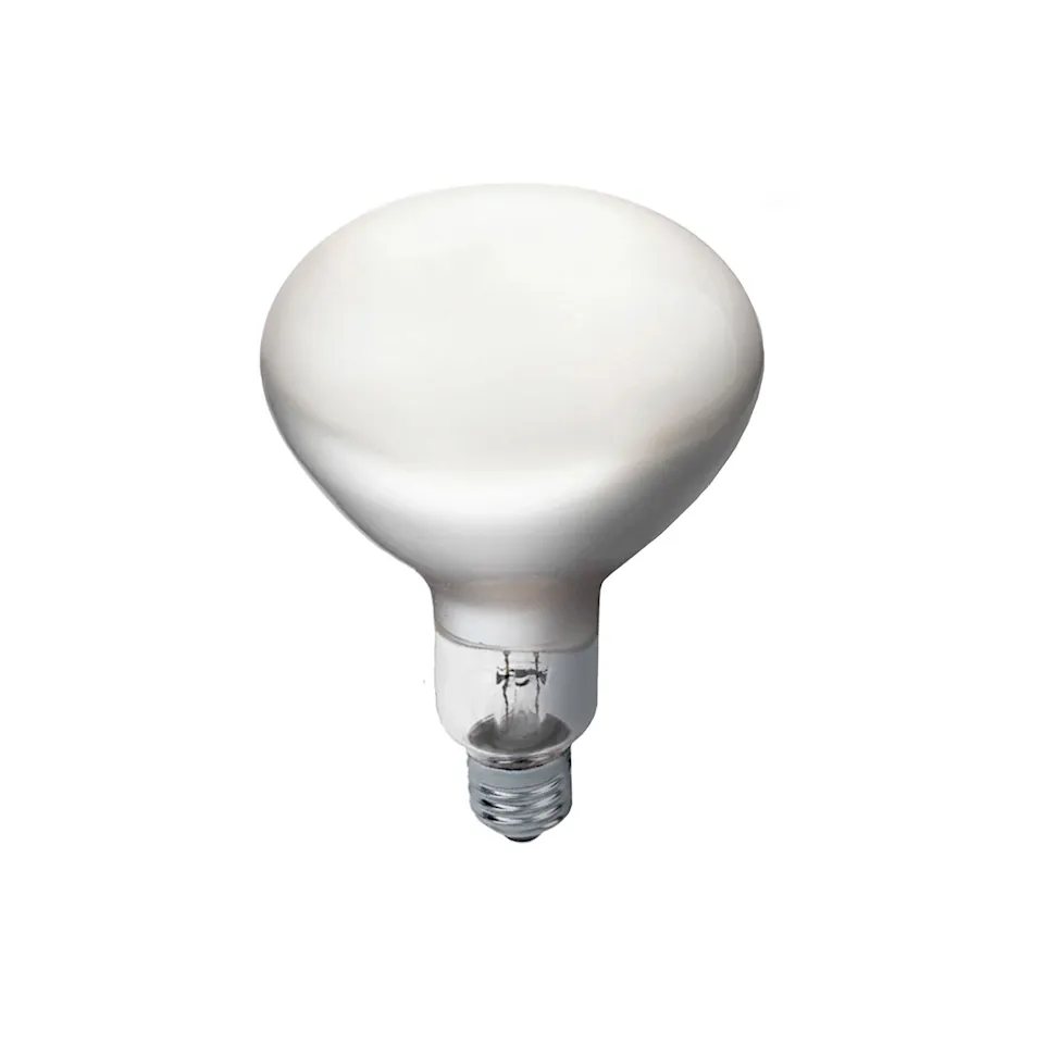 Parentesi Dimmable LED 13W E27