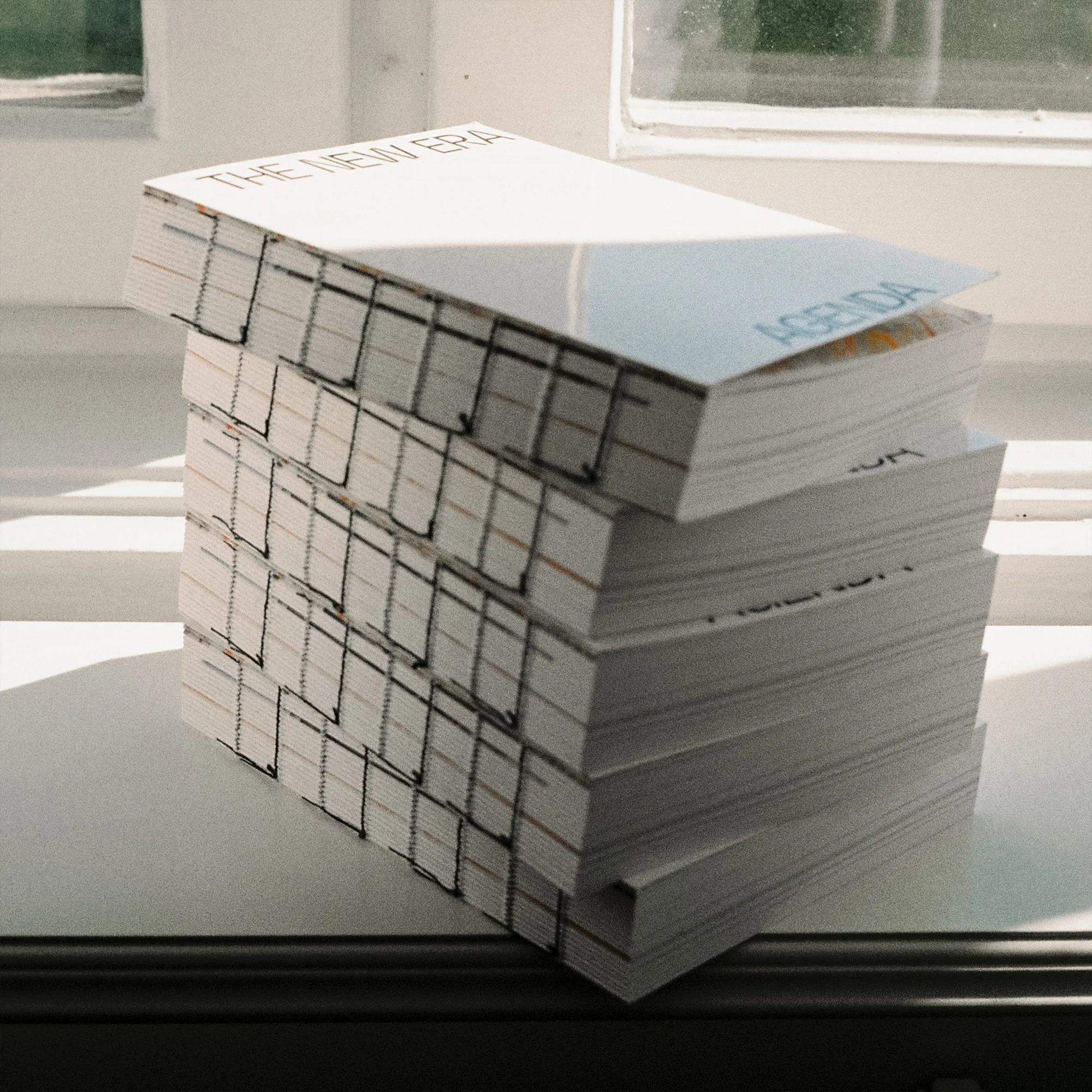 The New Era Agenda Vol 01 - 5
