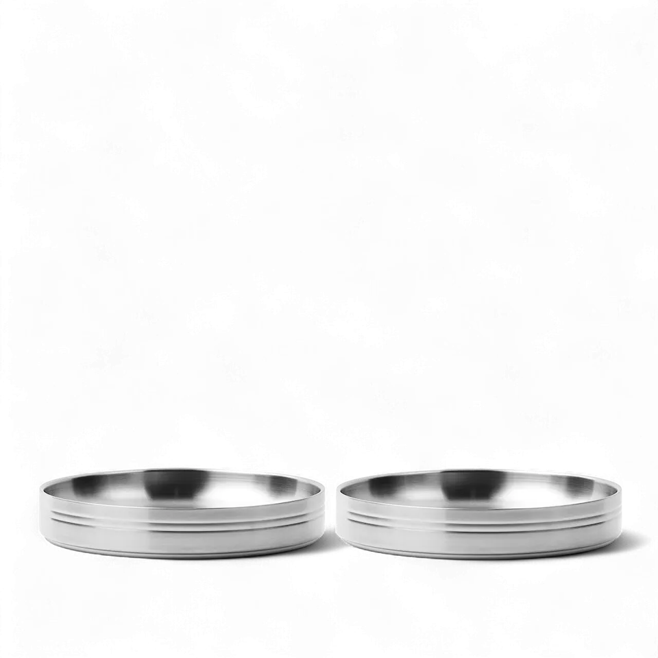 Stainless Steel pastaborden - Set van 2