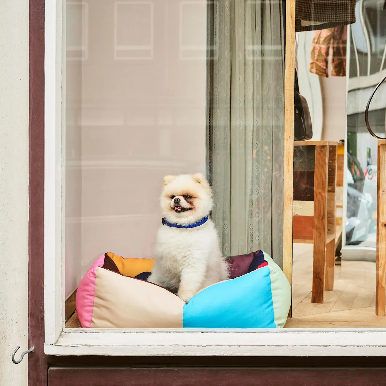 HAY Dog Bed Small