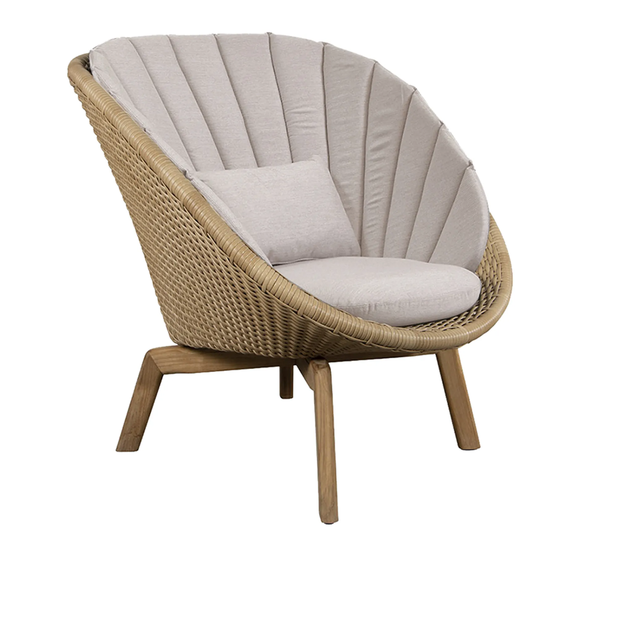 Peacock Lounge Chair Cushion Set - 2