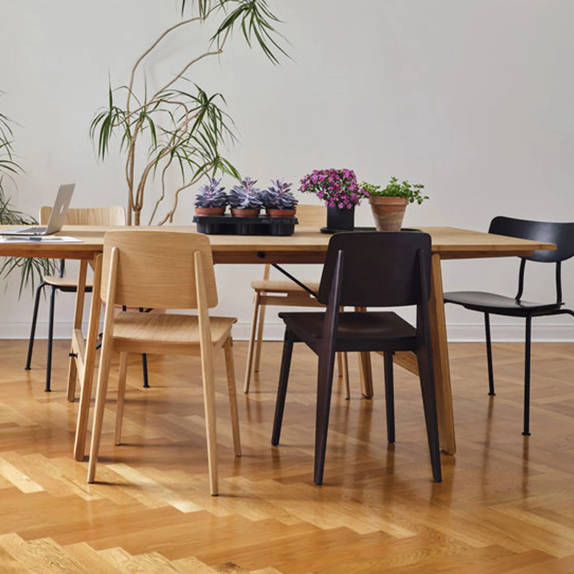 Chaise Tout Bois Chair - 4