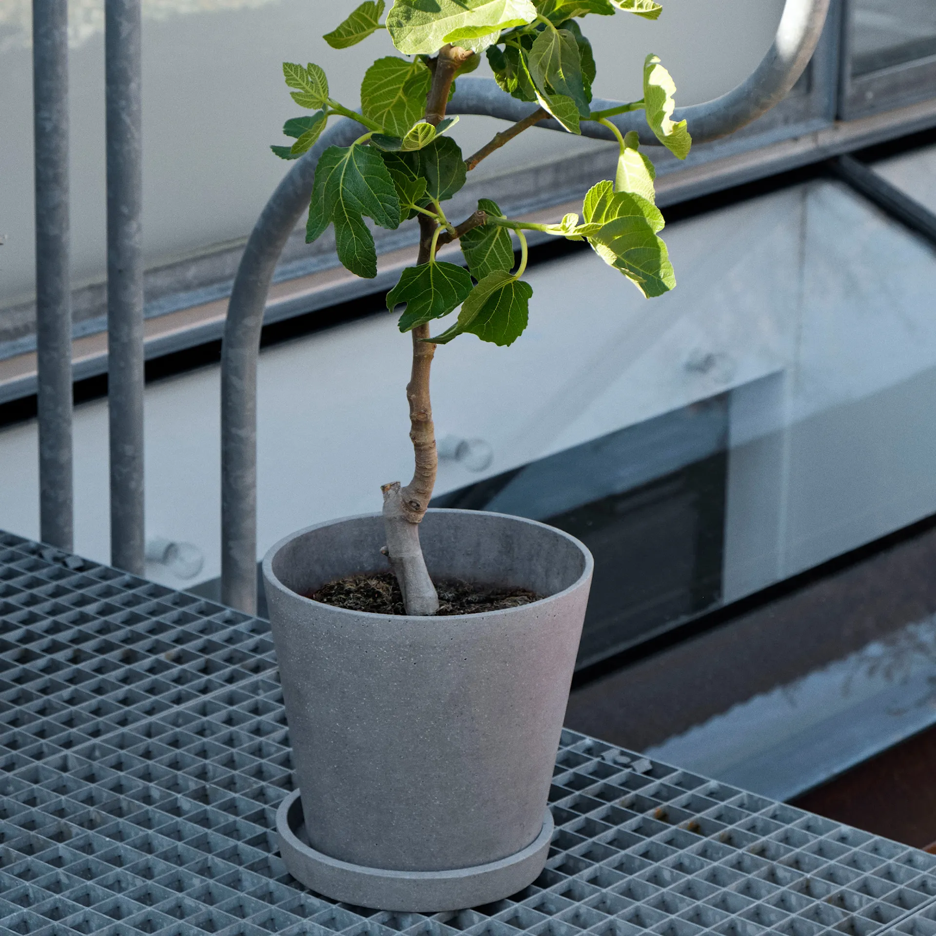 Flowerpot Pot & Saucer Grey - HAY - NO GA