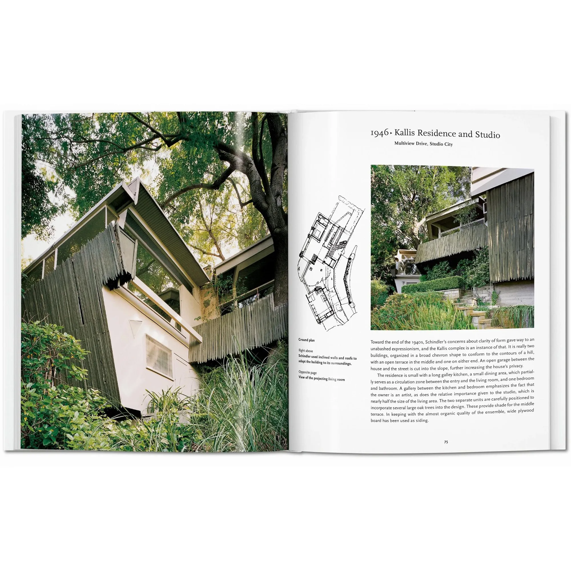 Schindler - Basic Art Series Architecture Book - 2