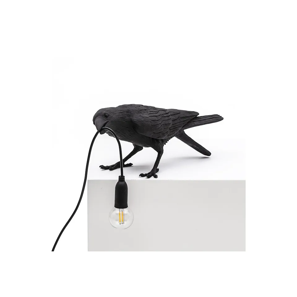 Bird Lamp Playing