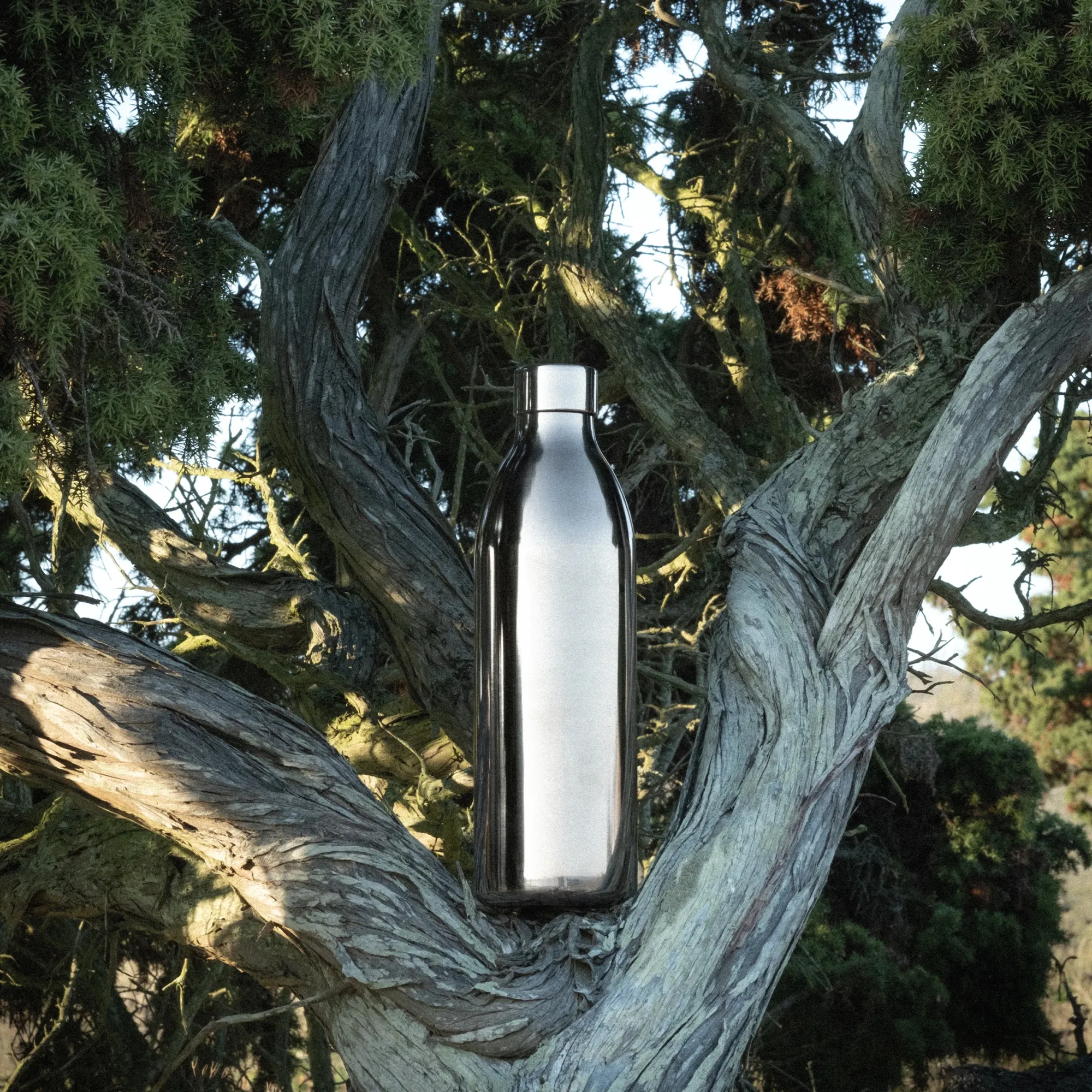 To-Go Bottle Carbonator 3 vesipullo - 6