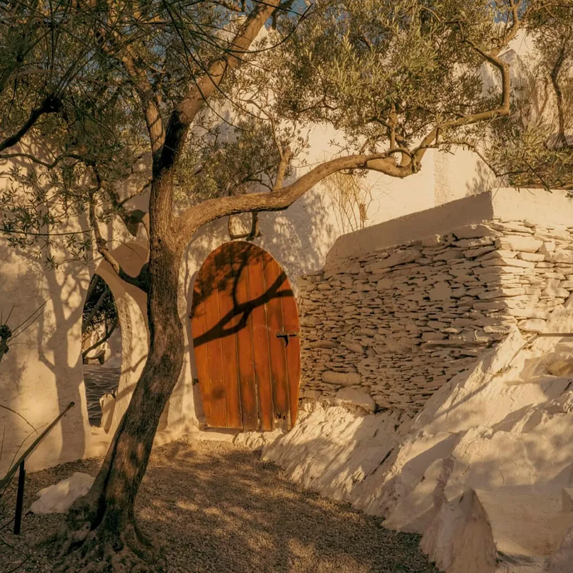 Casa Dalí, Coco Capitán Photo Book - 6