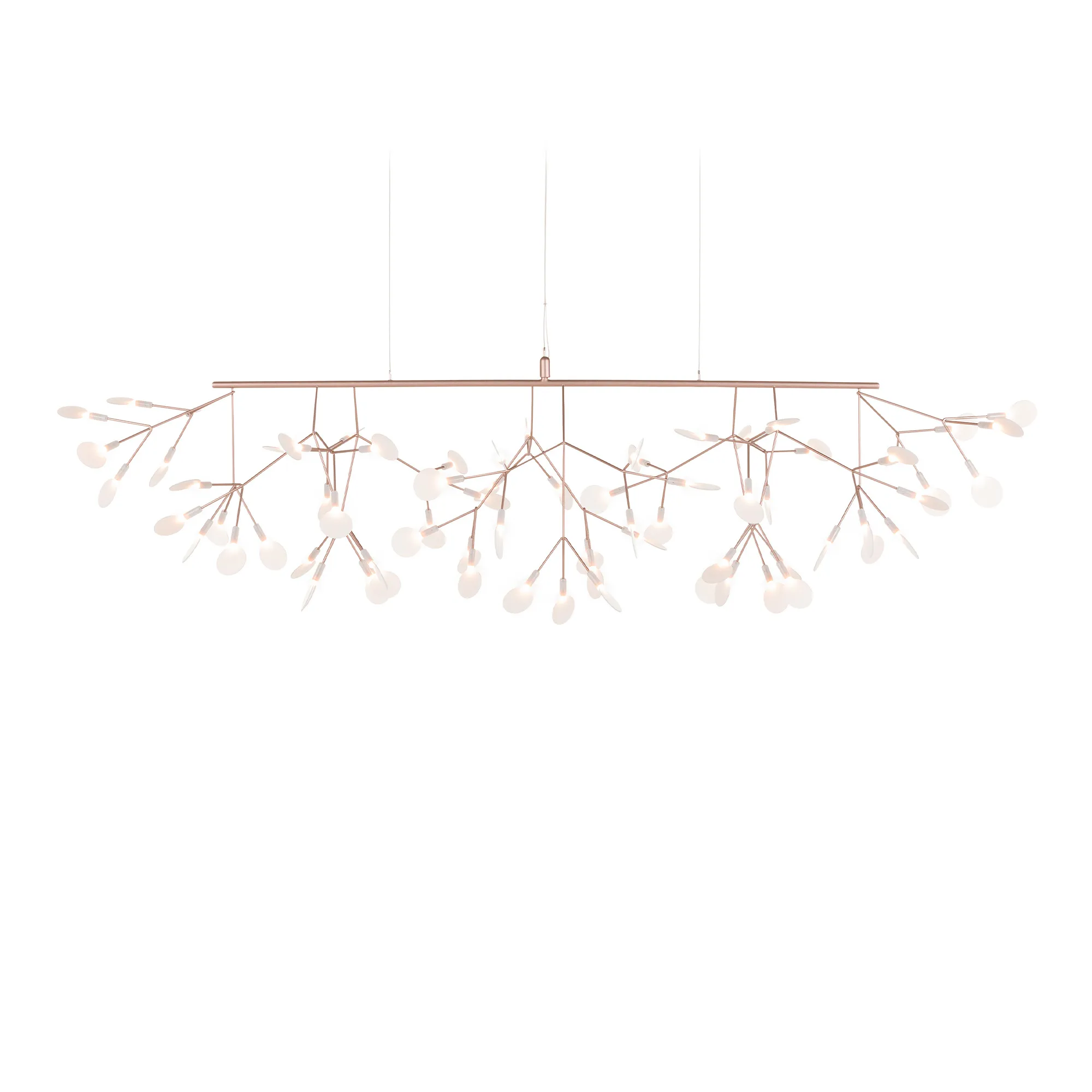 Heracleum III Linear kattokruunu - 1