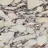 Calacatta Viola Marble