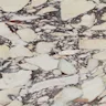 Calacatta Viola Marble