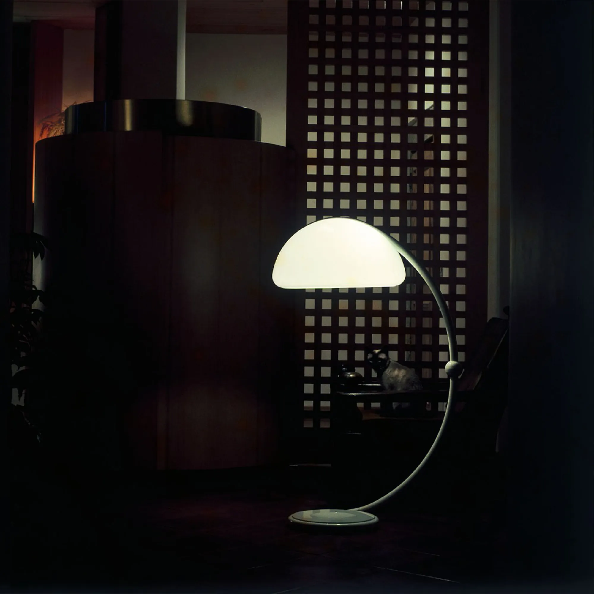 Serpente 2131 Floor Lamp - 4